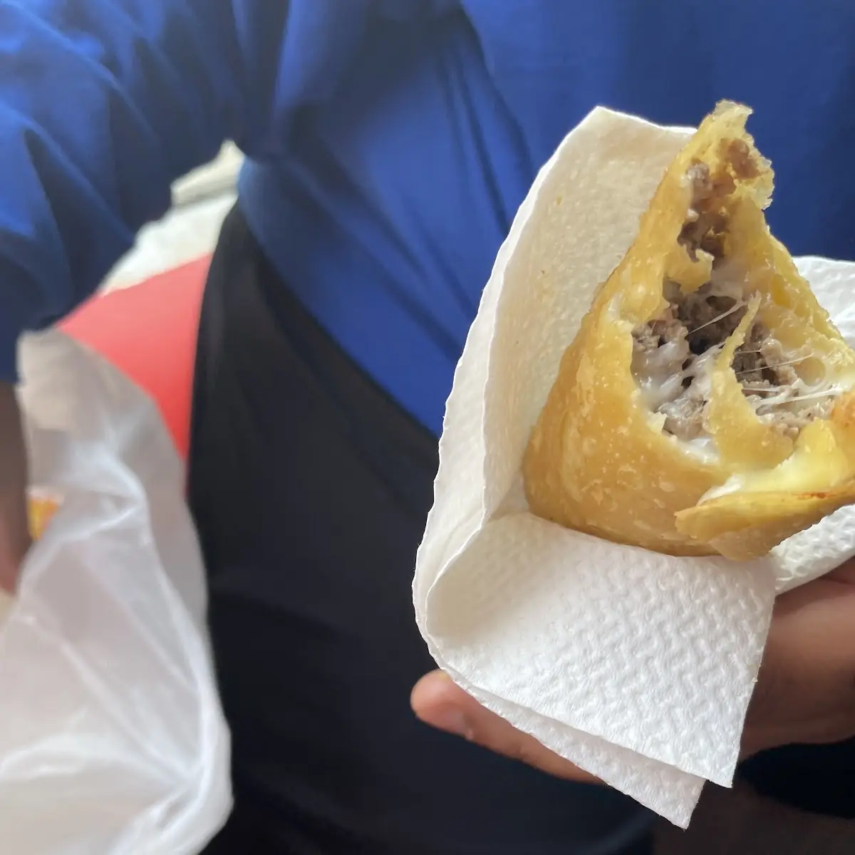 Steak Egg Roll