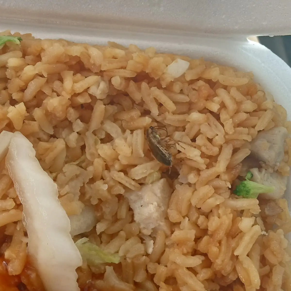 Brown Rice