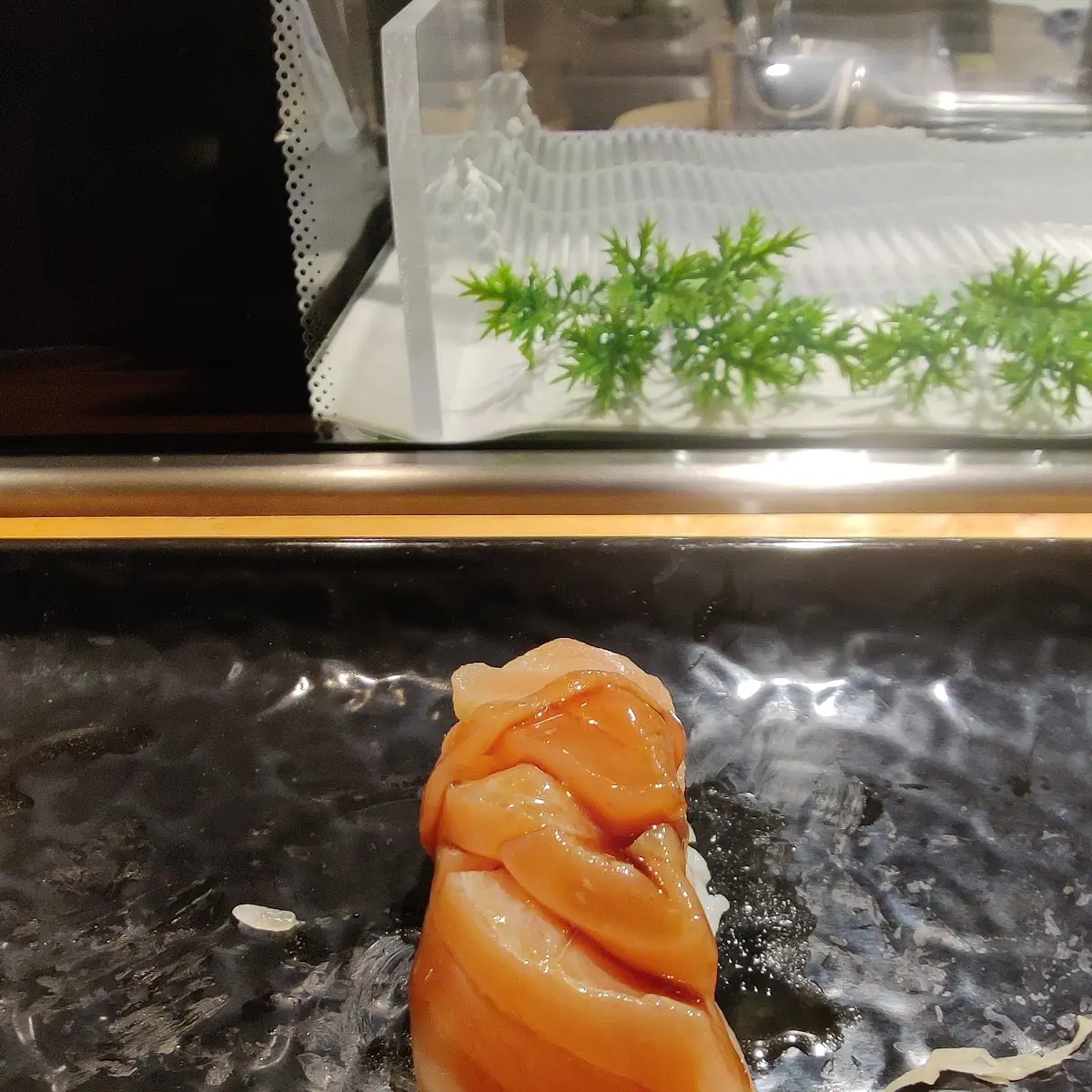 Salmon Sashimi
