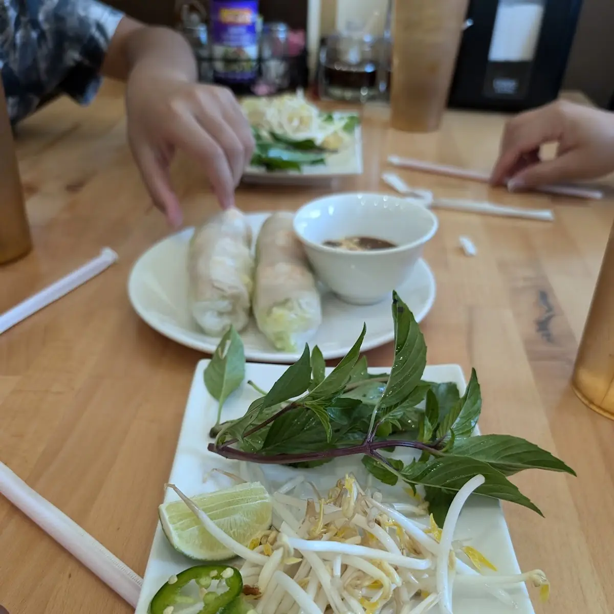 Spring Roll