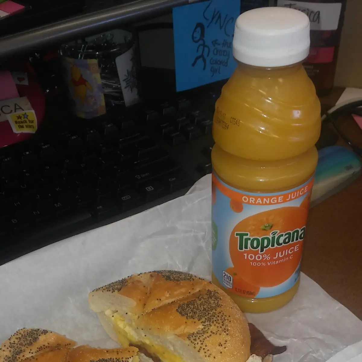 Turkey Bacon Egg and Cheese on a Roll