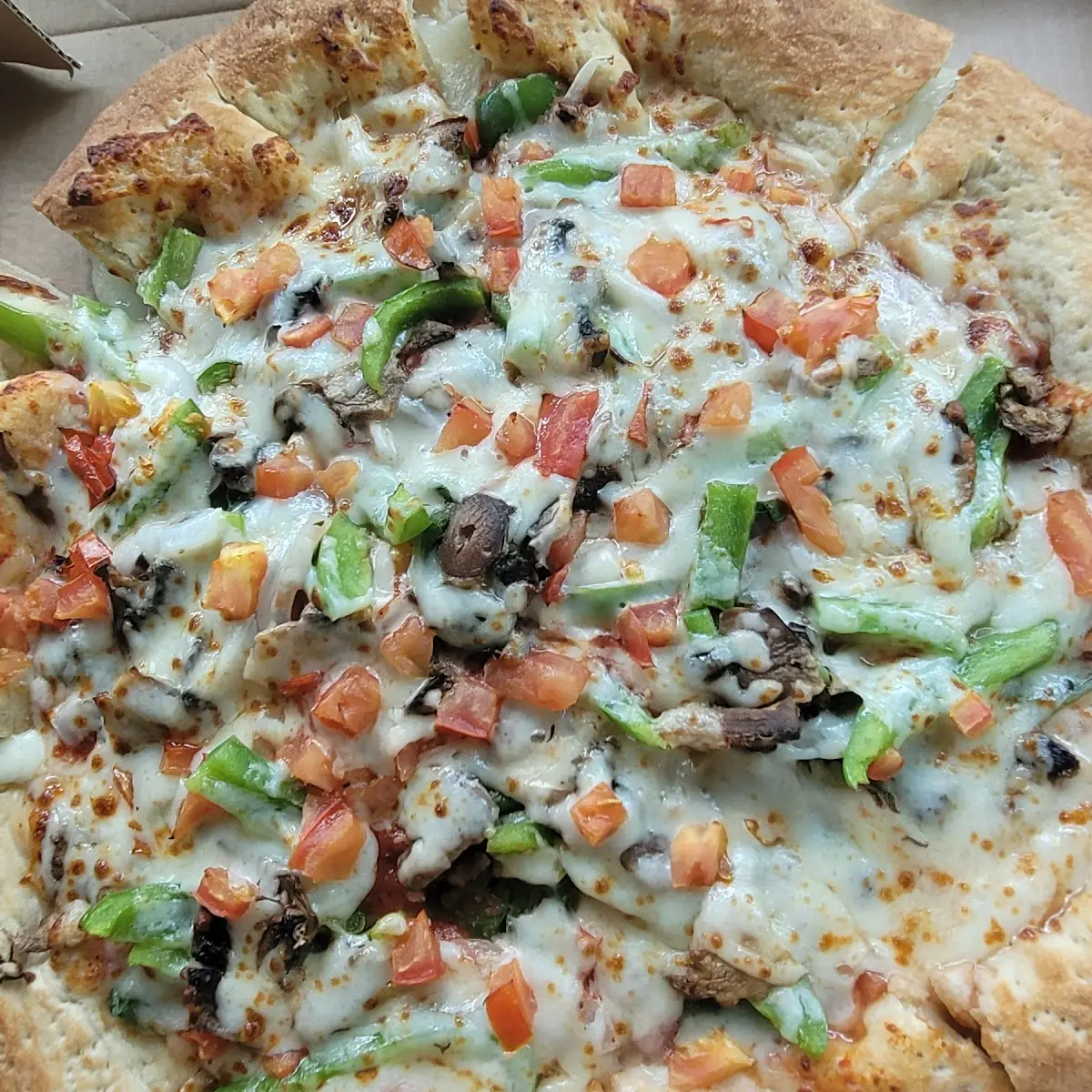 Veggie Pizza with Stuffed Crust