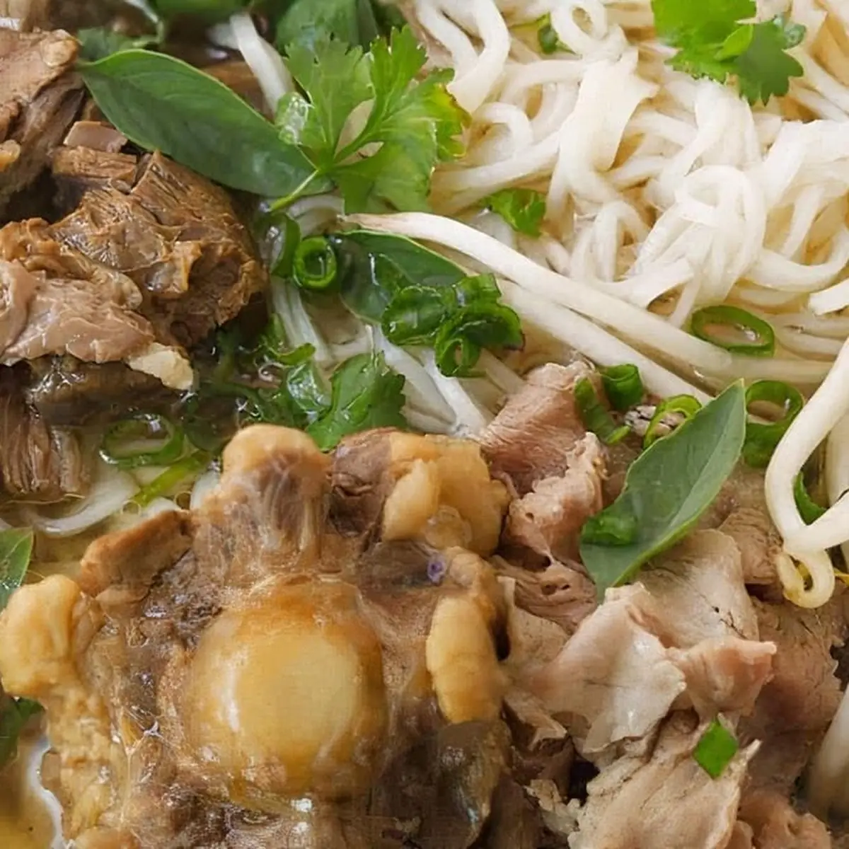 Short Ribs Pho