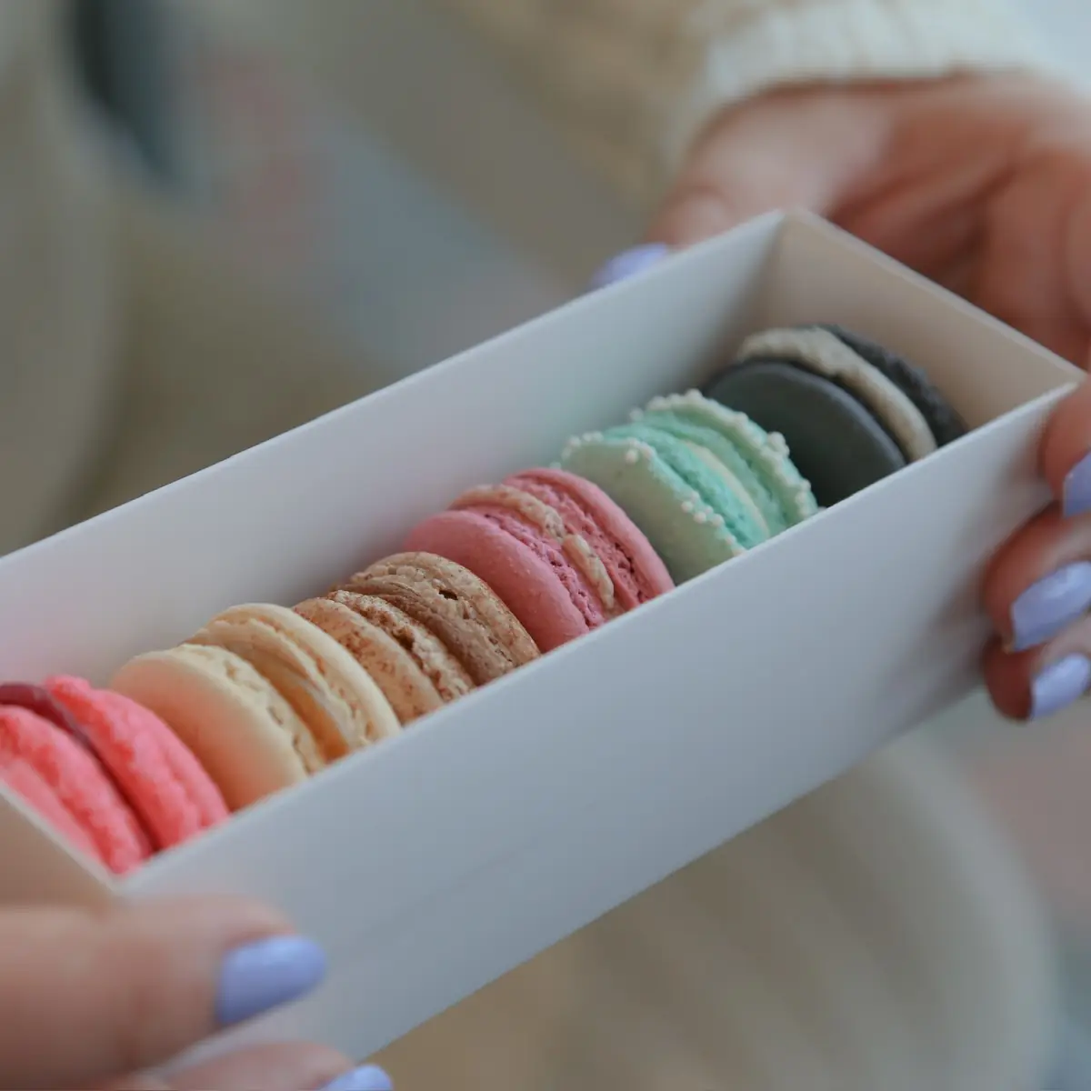 Count Macaron Box