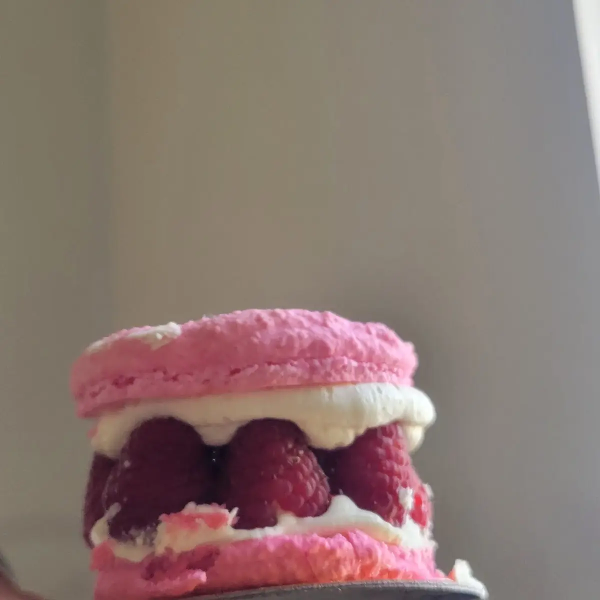 Raspberry Macaron Cake Individual