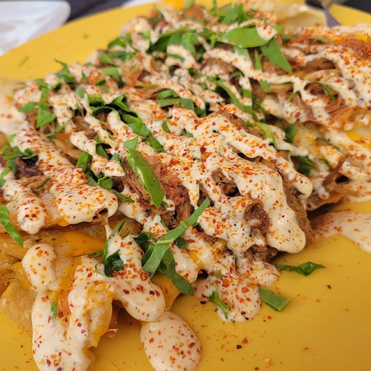Pulled Pork Nachos