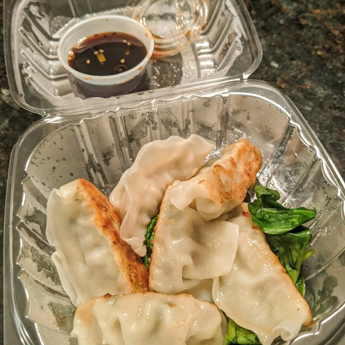 Pork Gyoza