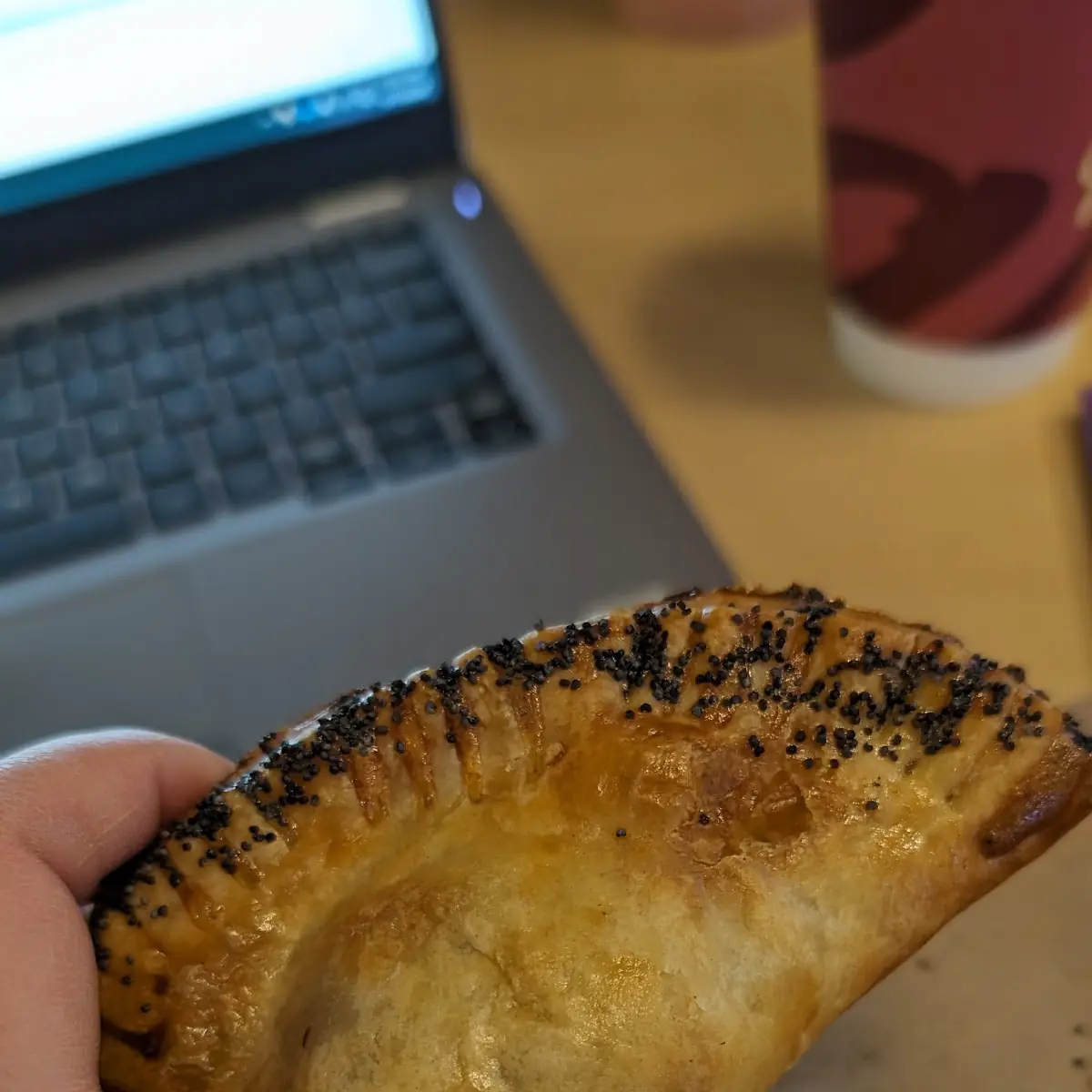 Beef Empanada