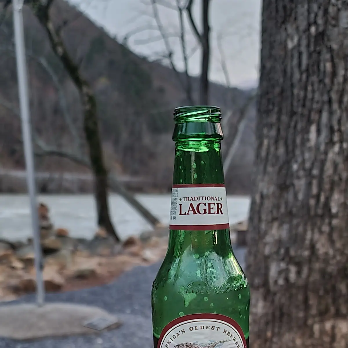Yuengling Lager