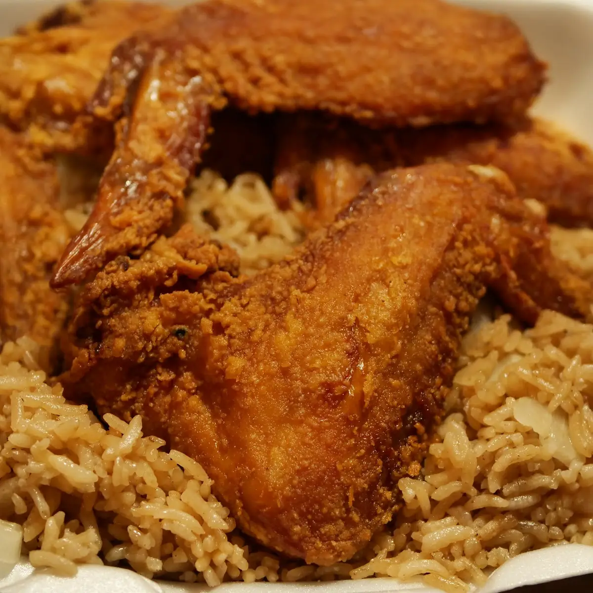 Brown Rice / 黄饭