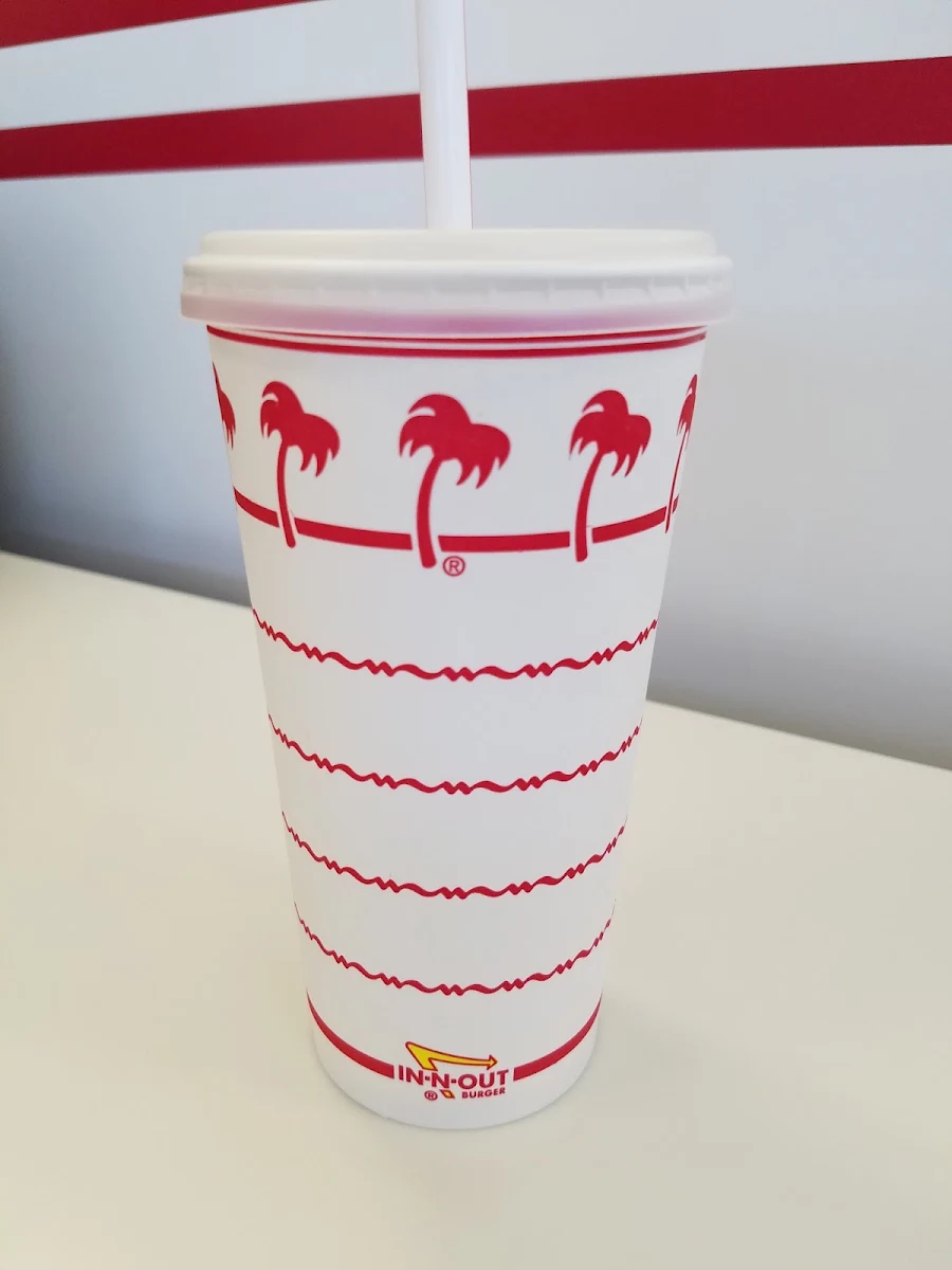 Animal Style Fries