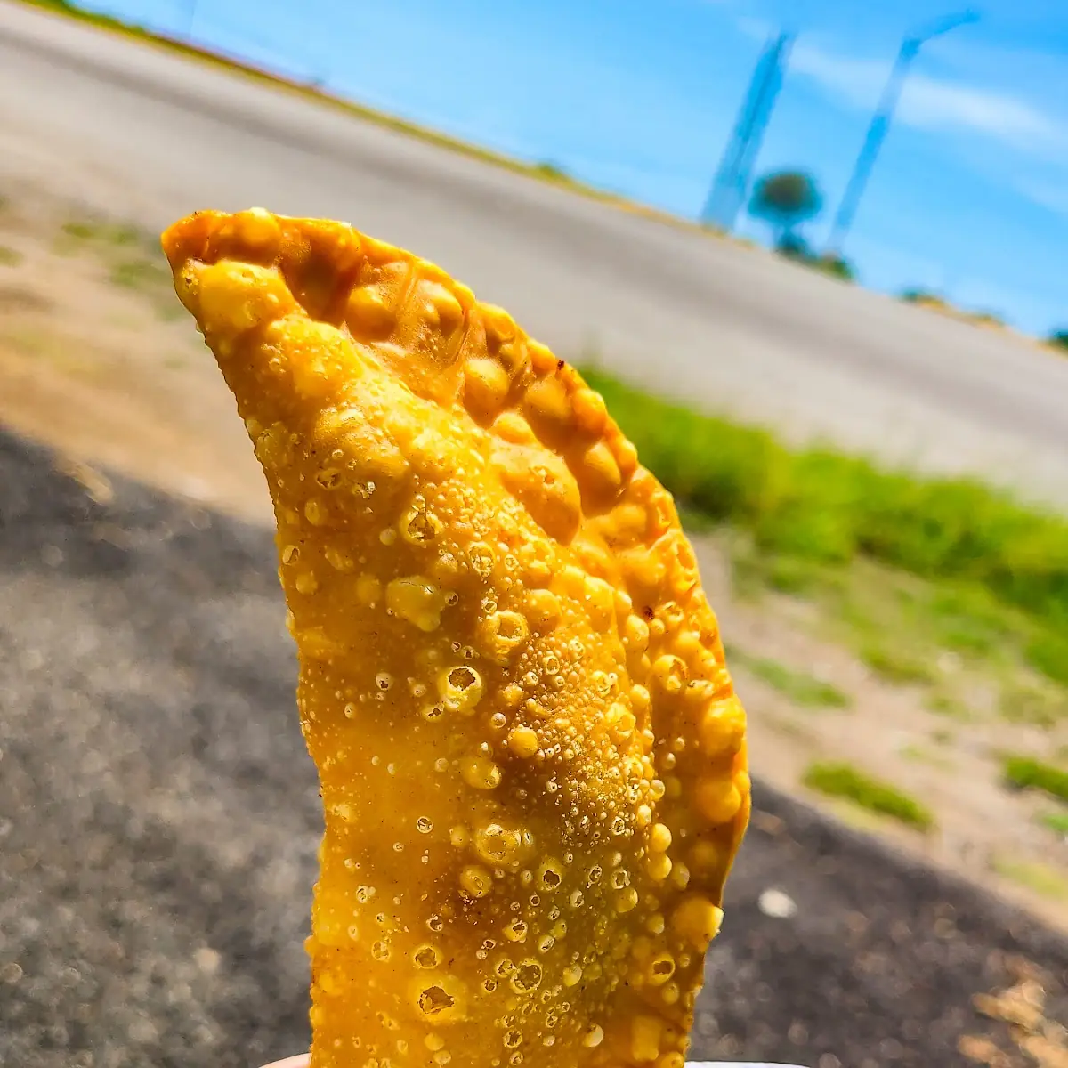 Empanadilla de Carrucho