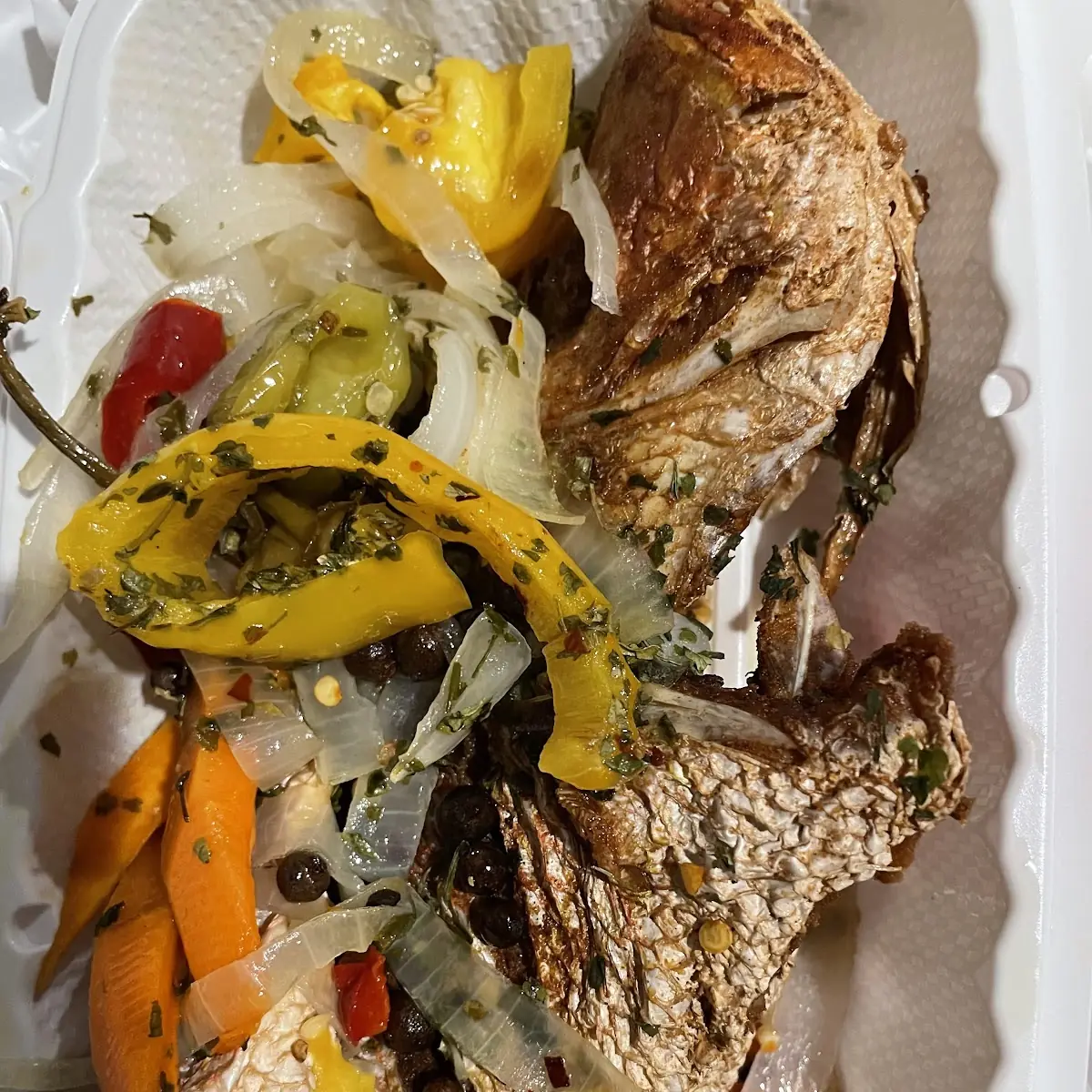 Red Snapper