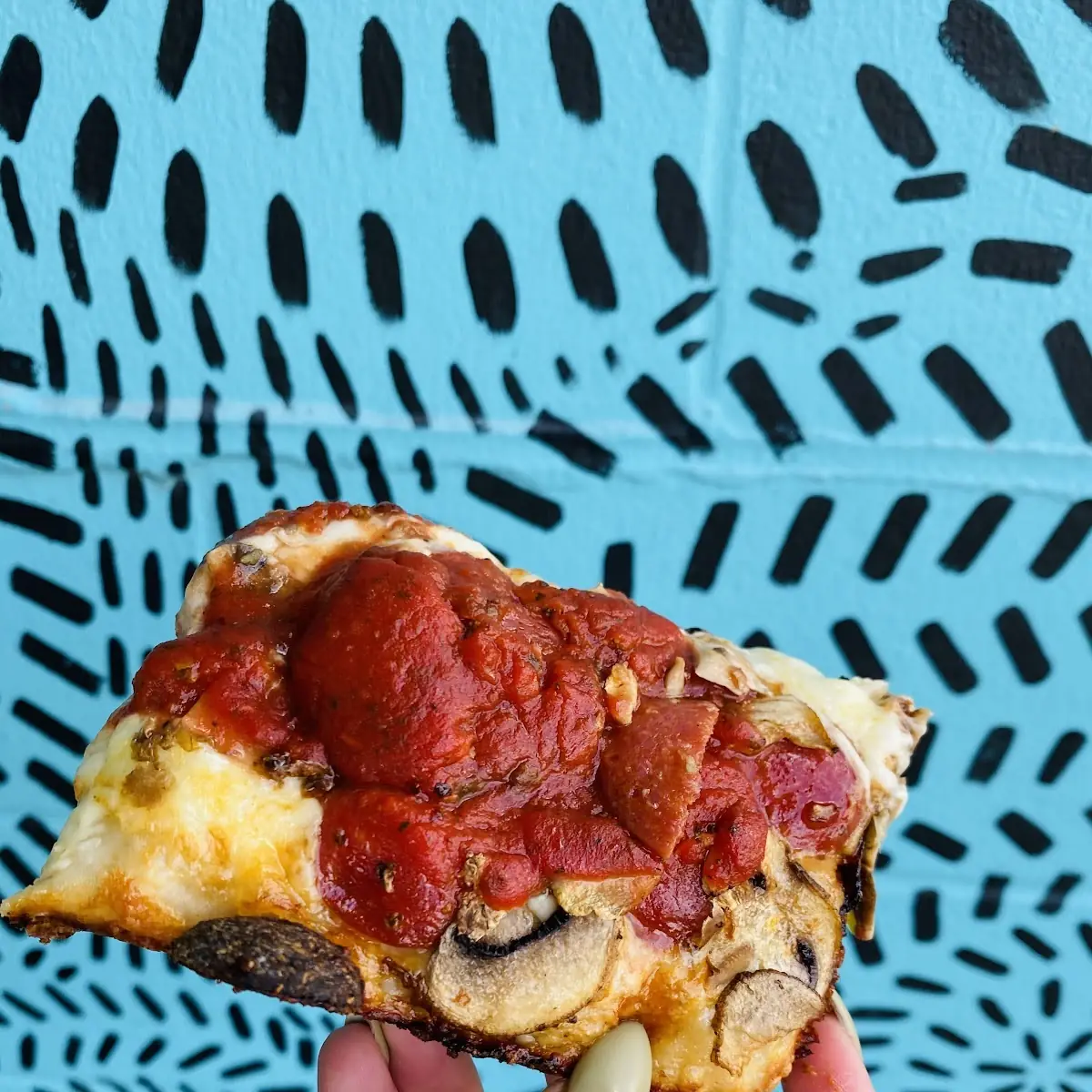 Pepperoni Mushroom Pizza