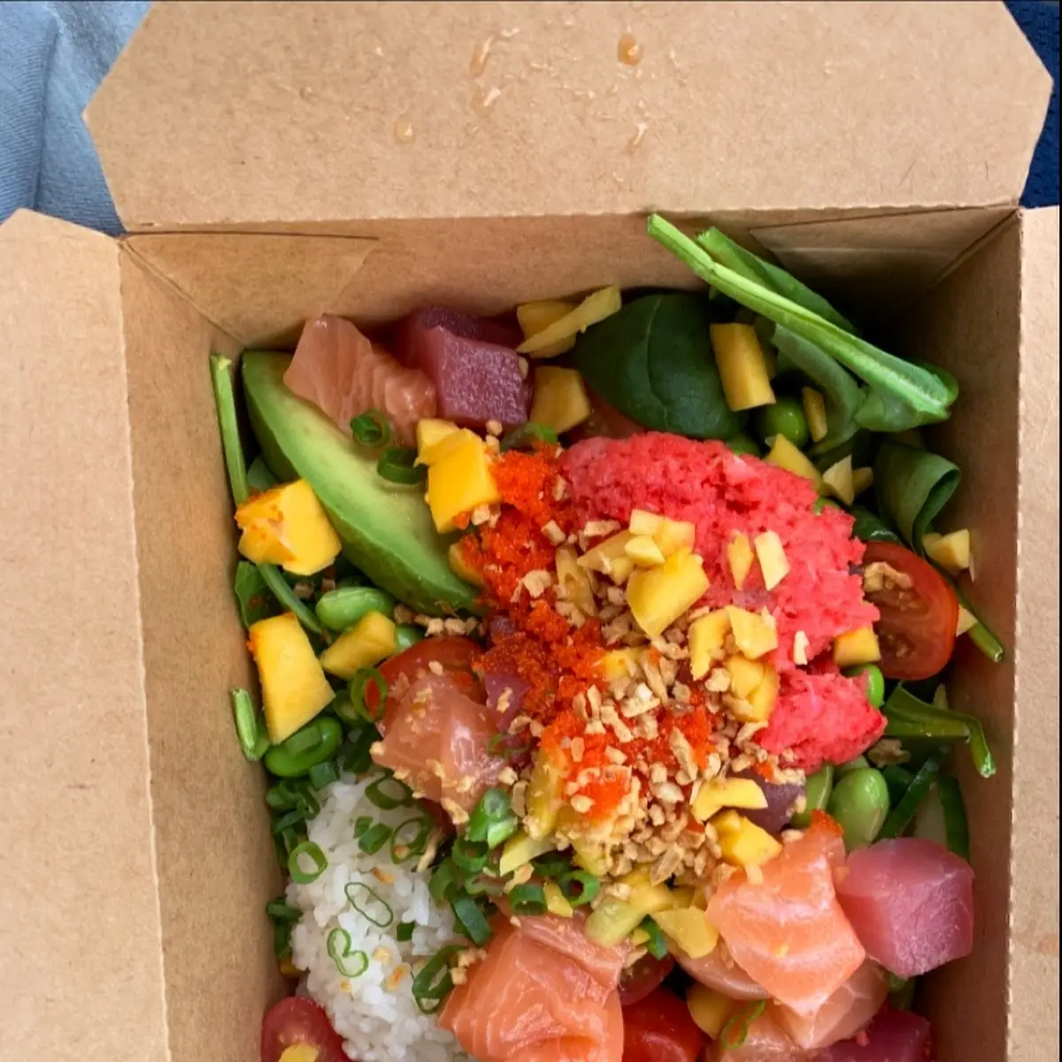 Salmon Opoly Taichi Rice Bowl