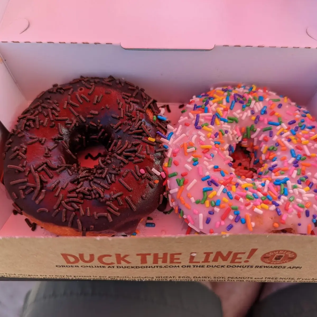 Doughnut