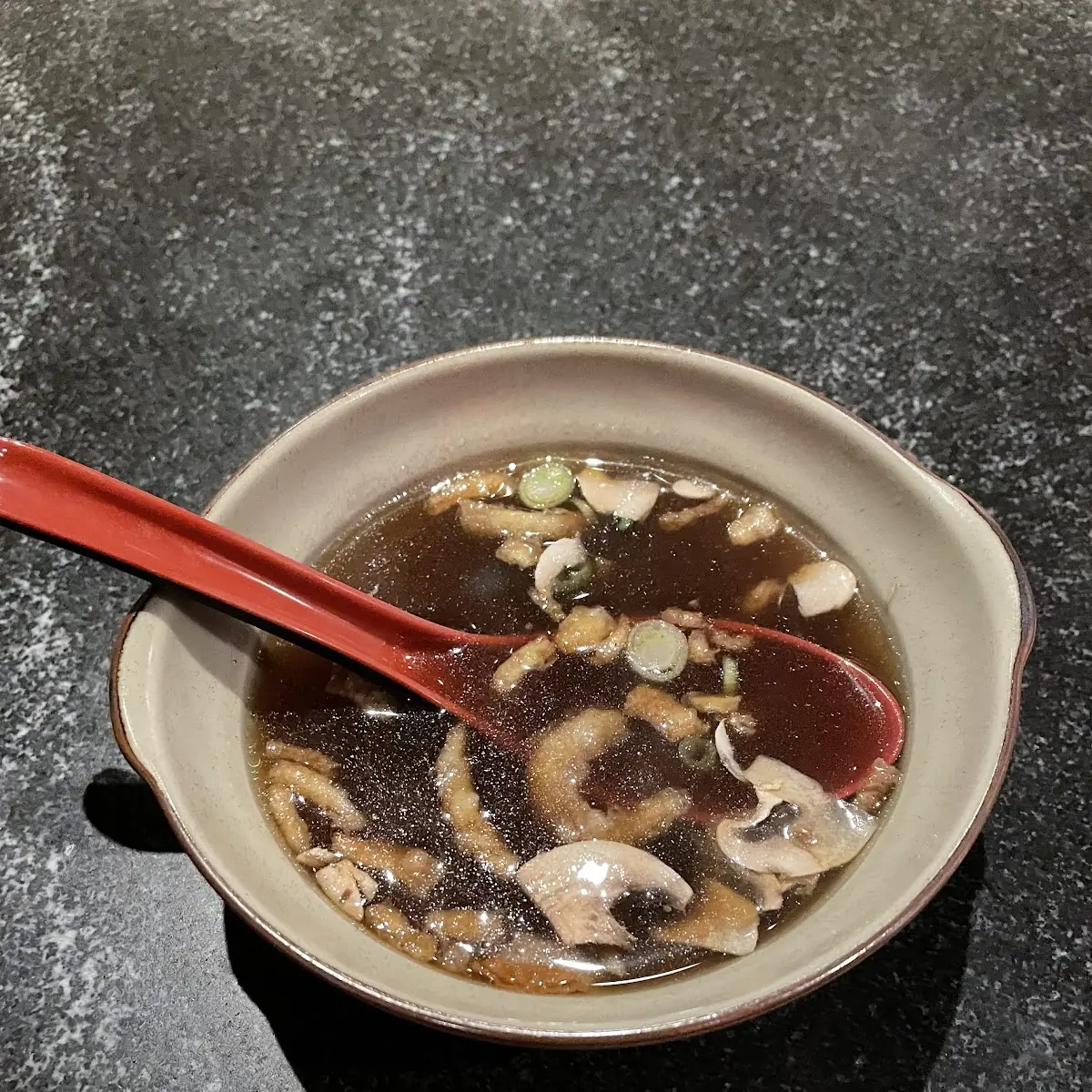 Japanese Onion Soup, Benihana Niagara Falls