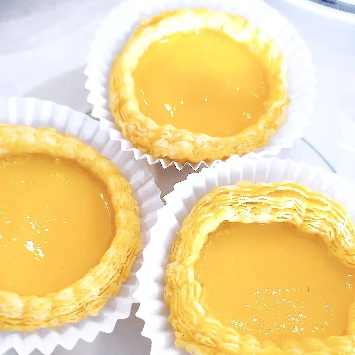 Egg Custard Tart