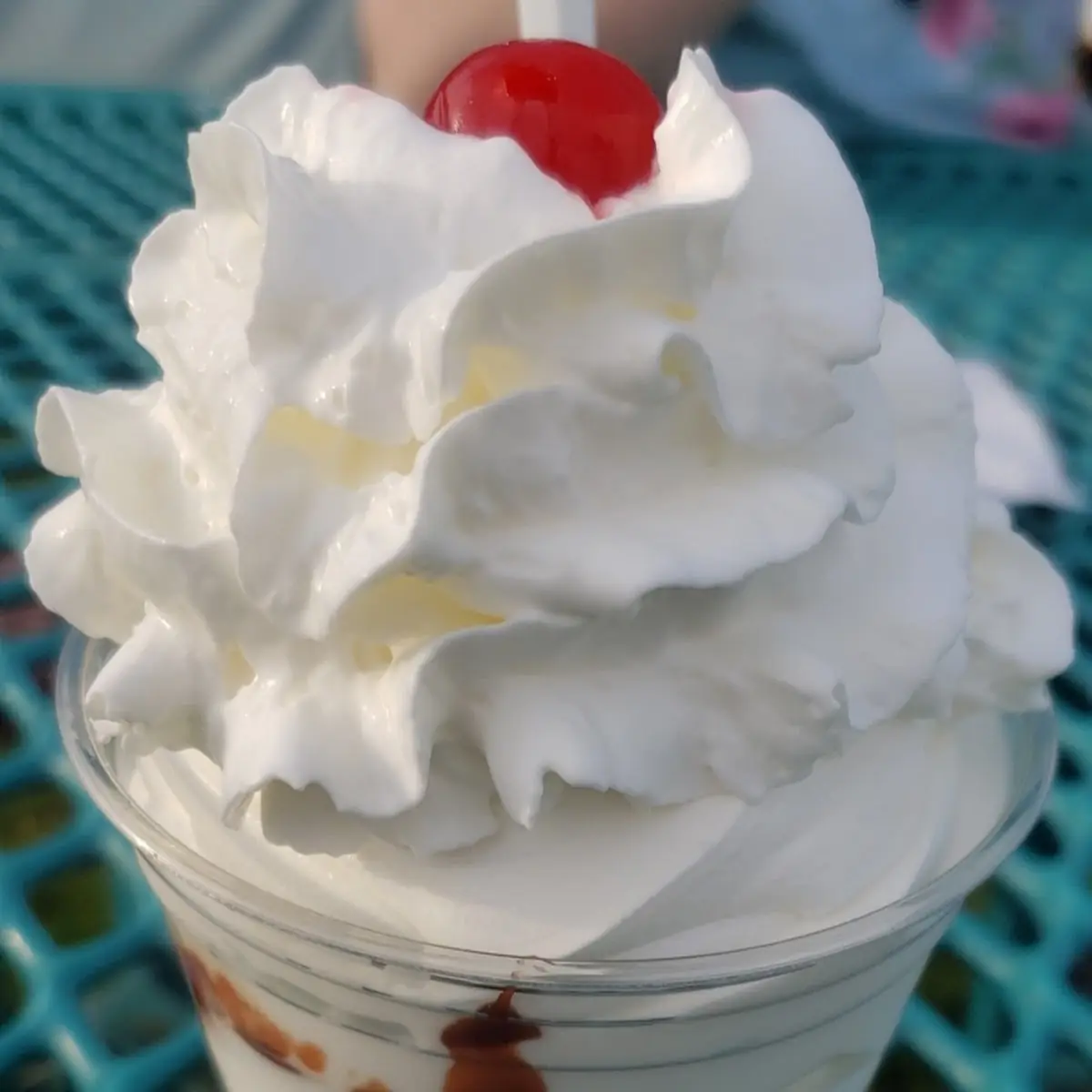 Turtle Sundae