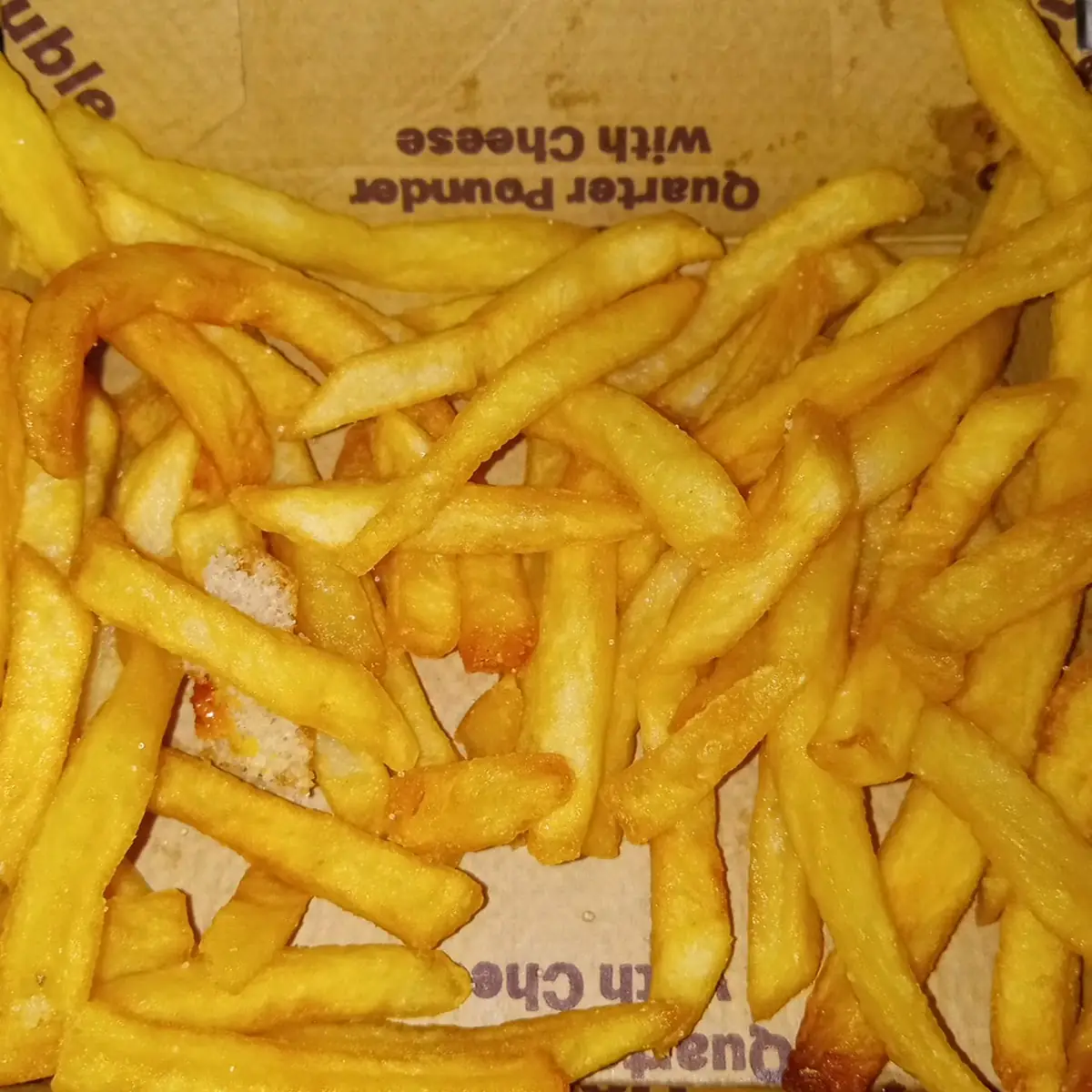World Famous Fries