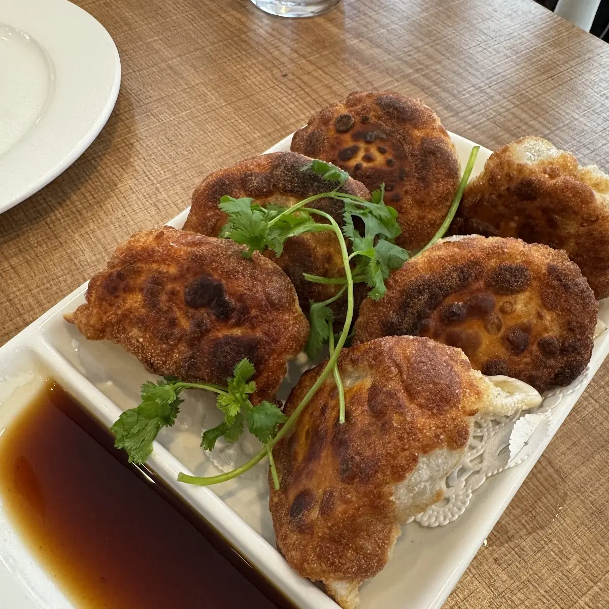 Pan Seared Potstickers