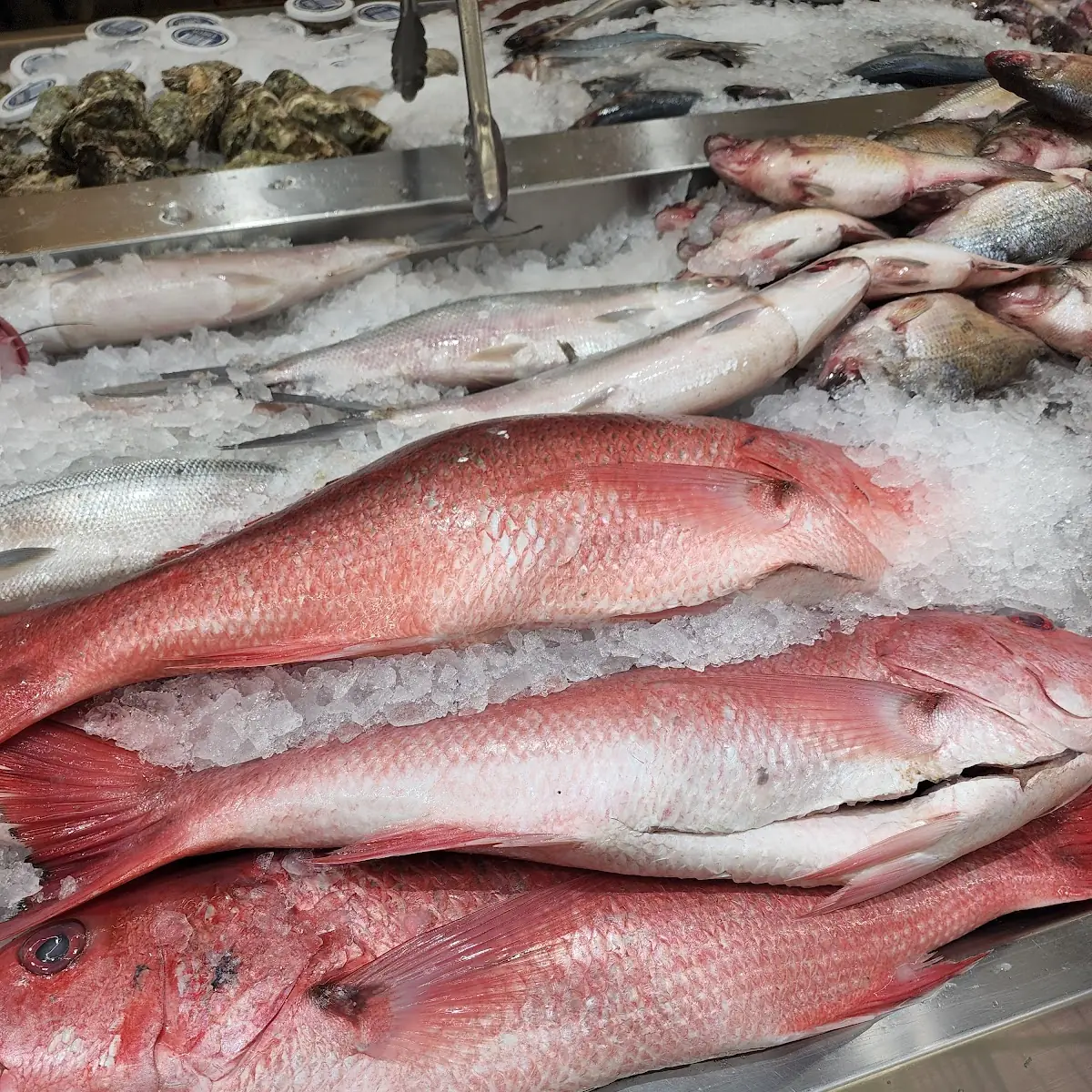 Red Snapper