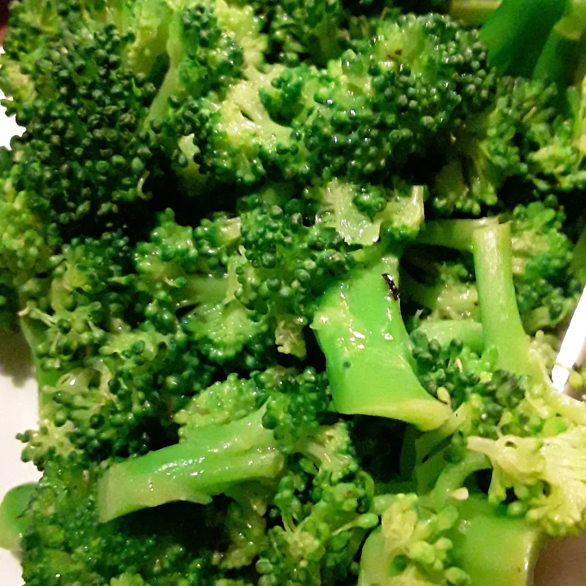 Fresh Steamed Broccoli