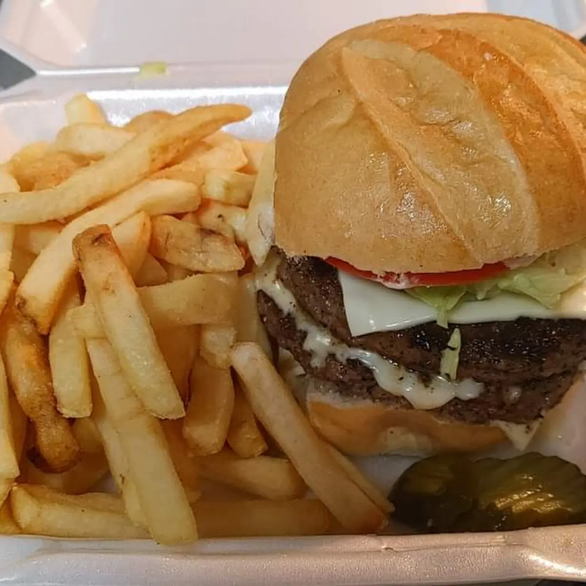 Double Cheeseburger & Fries