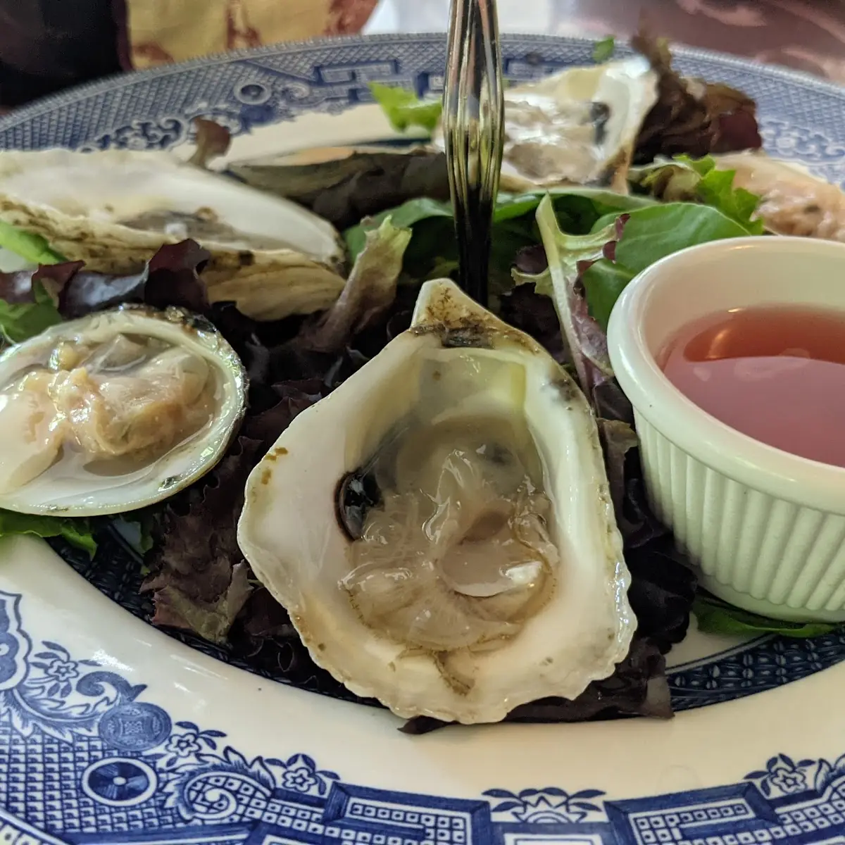 Oysters on the Half Shell