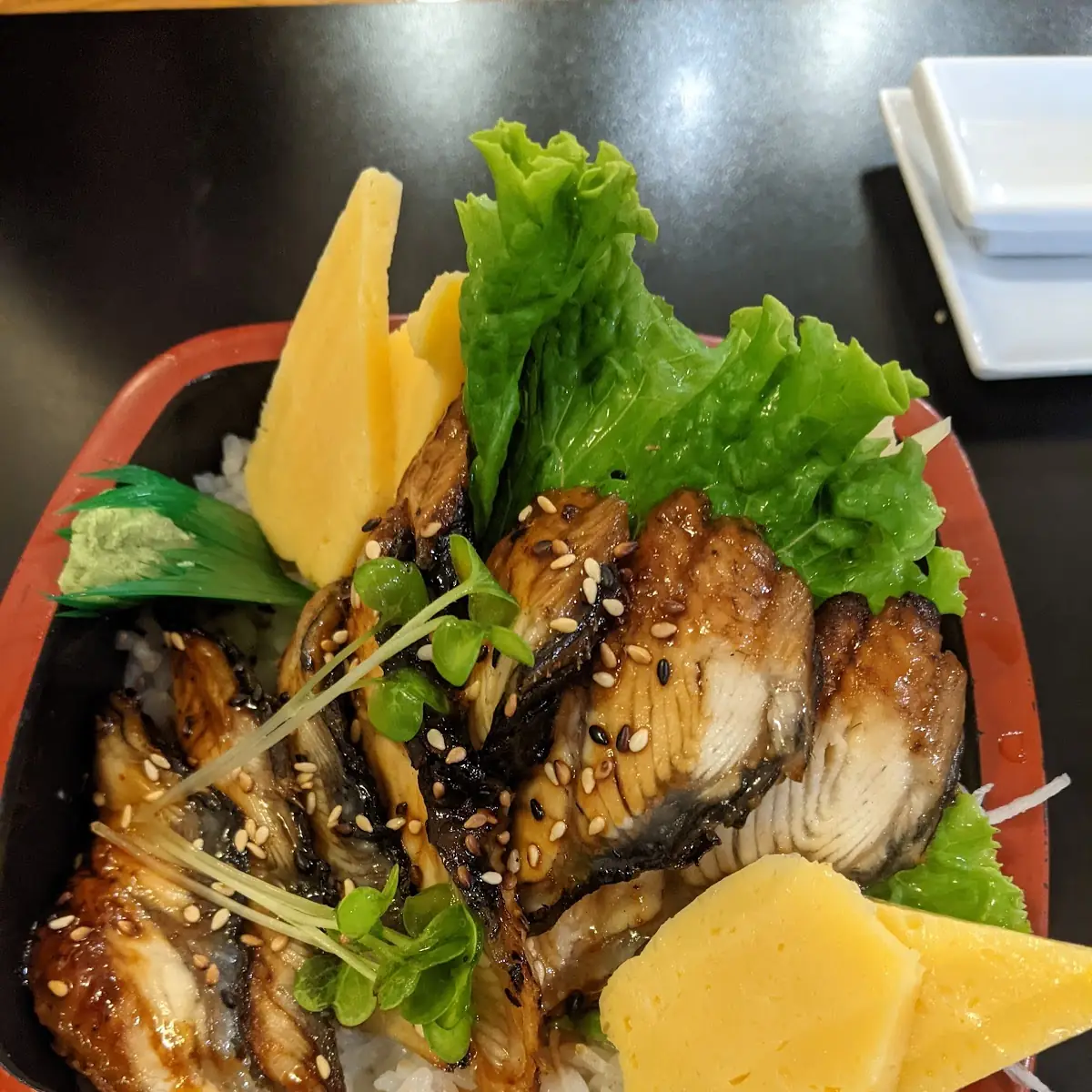 Unagi Don