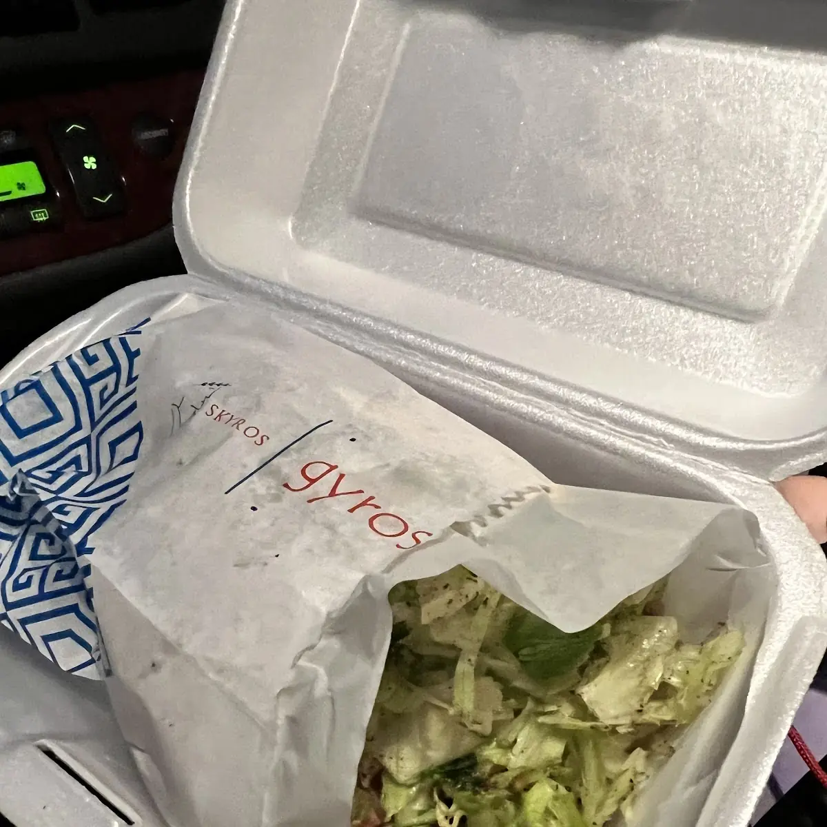 Falafel Sandwich