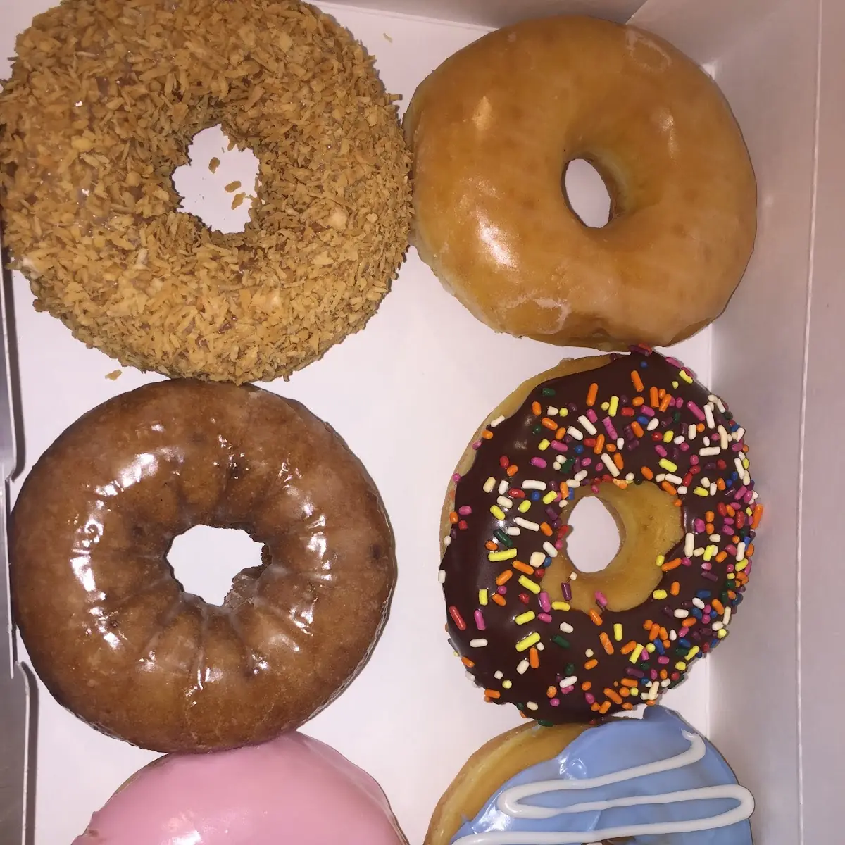Chocolate Glazed and Sprinkled Donuts