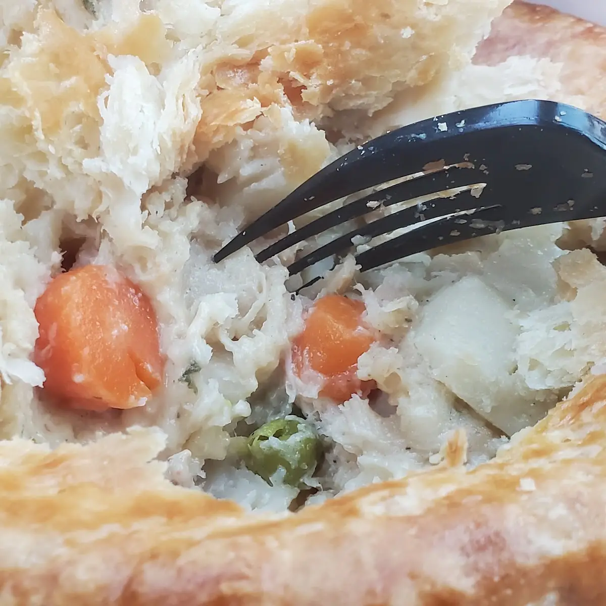 Chicken Pot Pie so Old