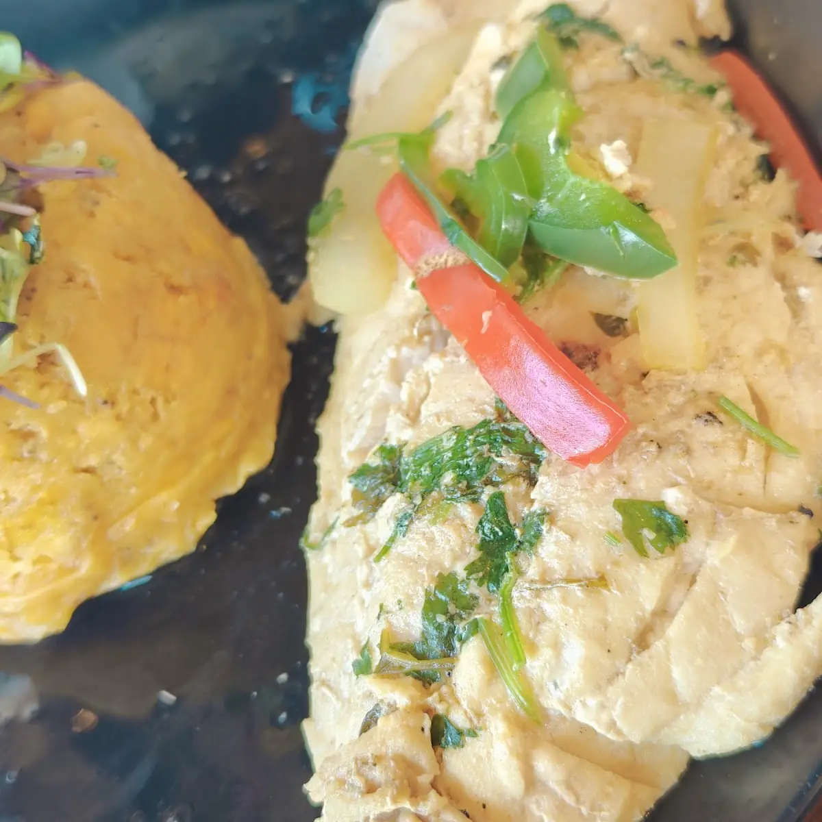 Red Snapper