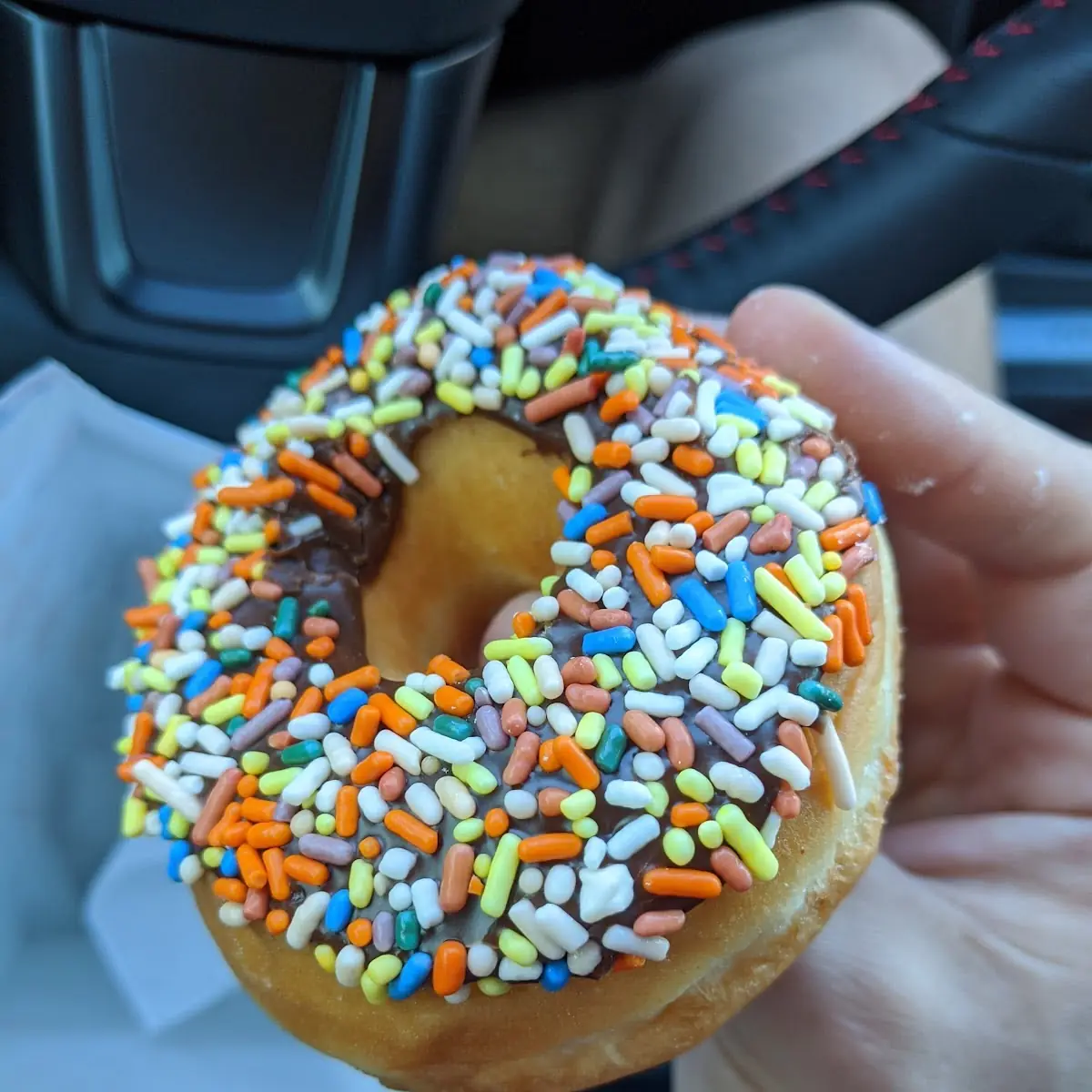 Chocolate Glazed with Sprinkles