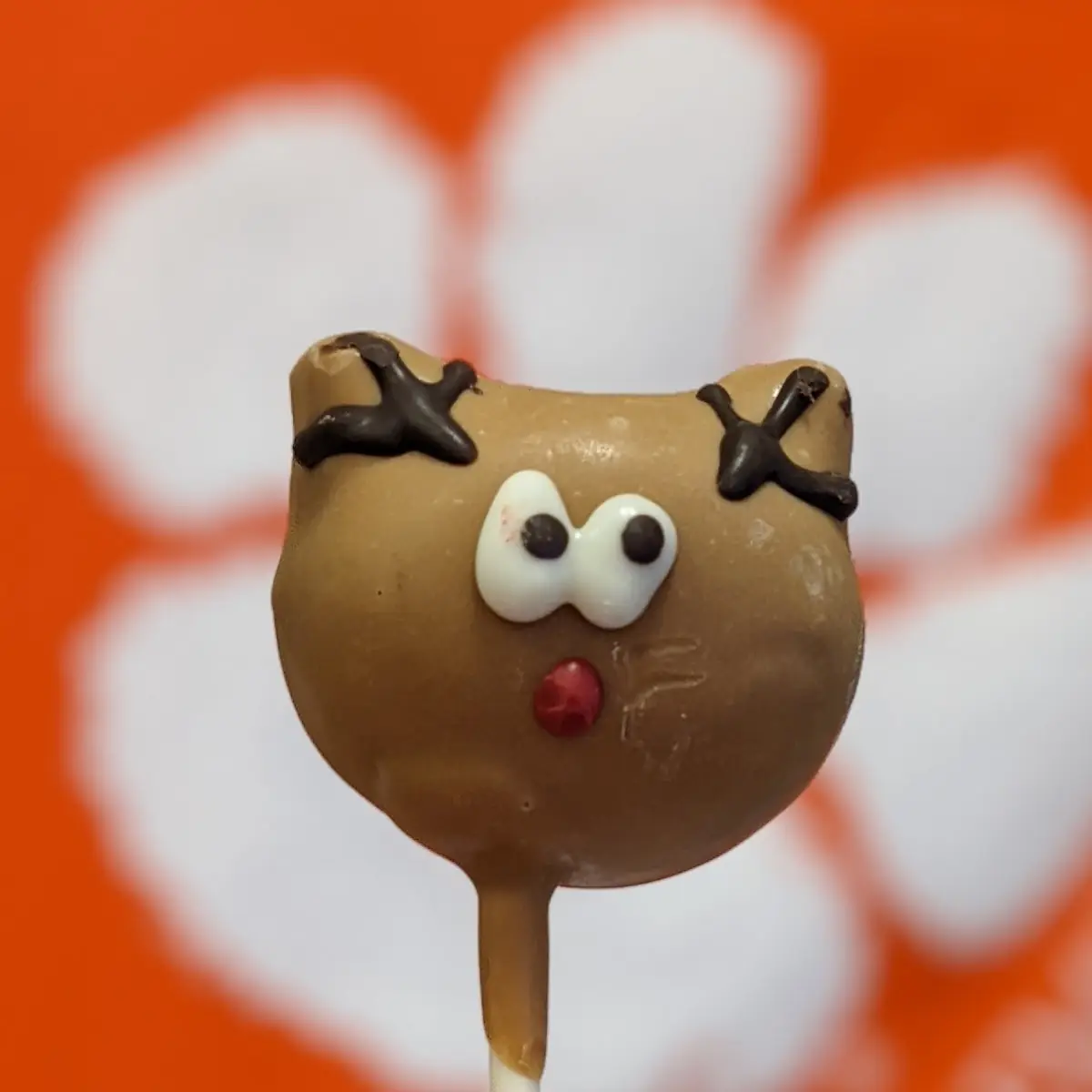 Cake Pop