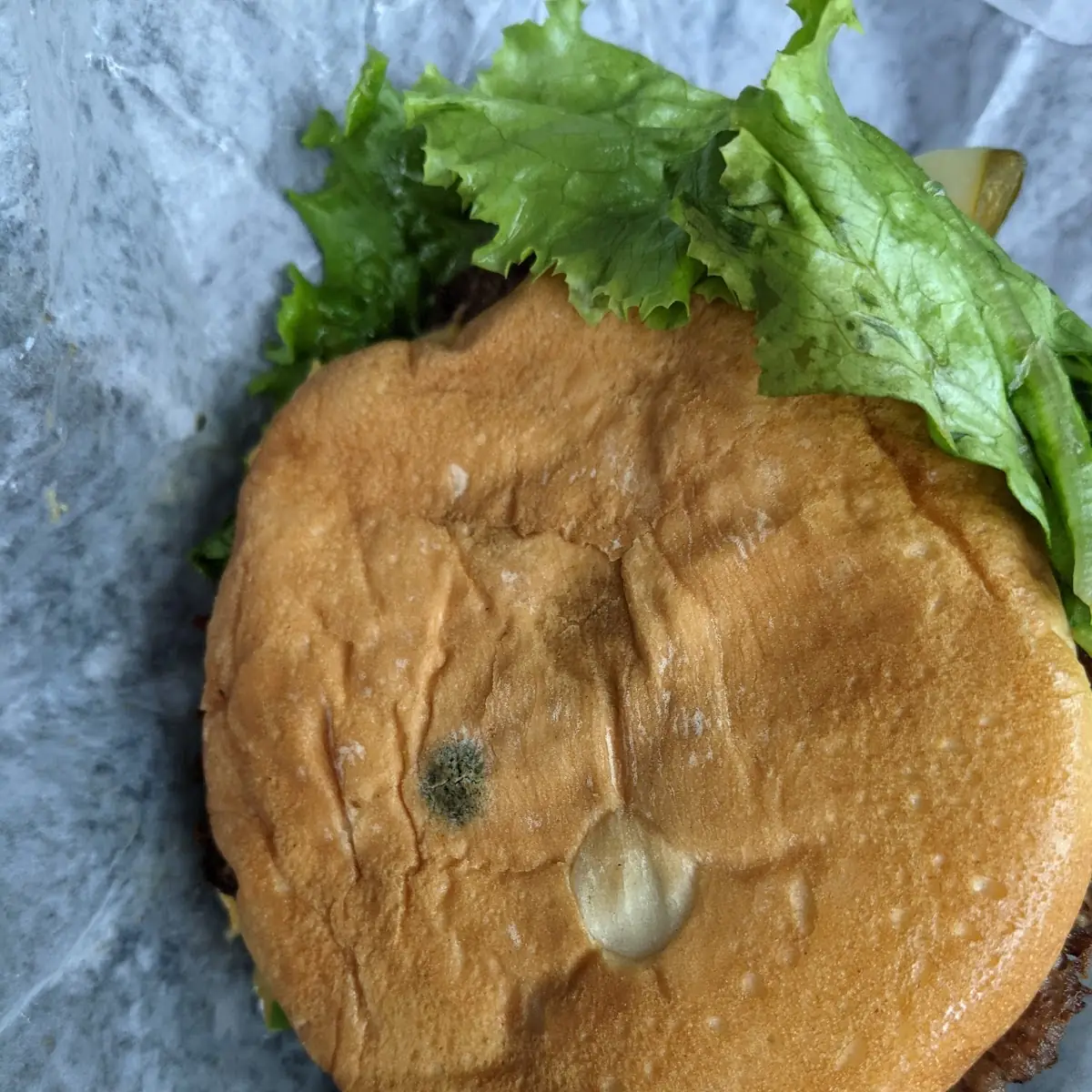 Fish Sandwich