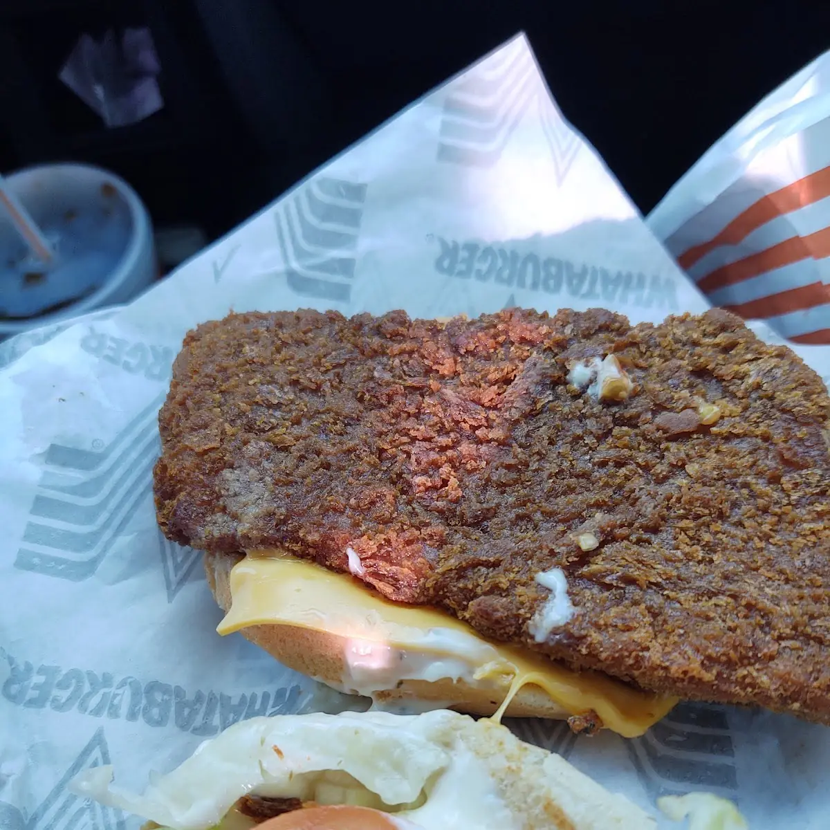 What a Fish Sandwich Was Disappointed