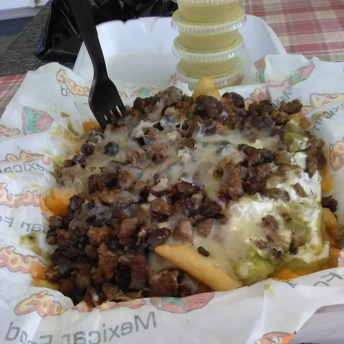 Carne Asada Fries with Cheese