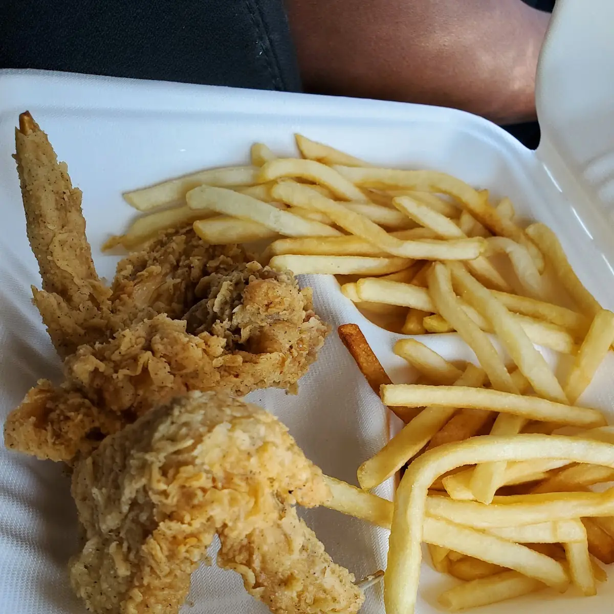 Chicken Wings with Fries