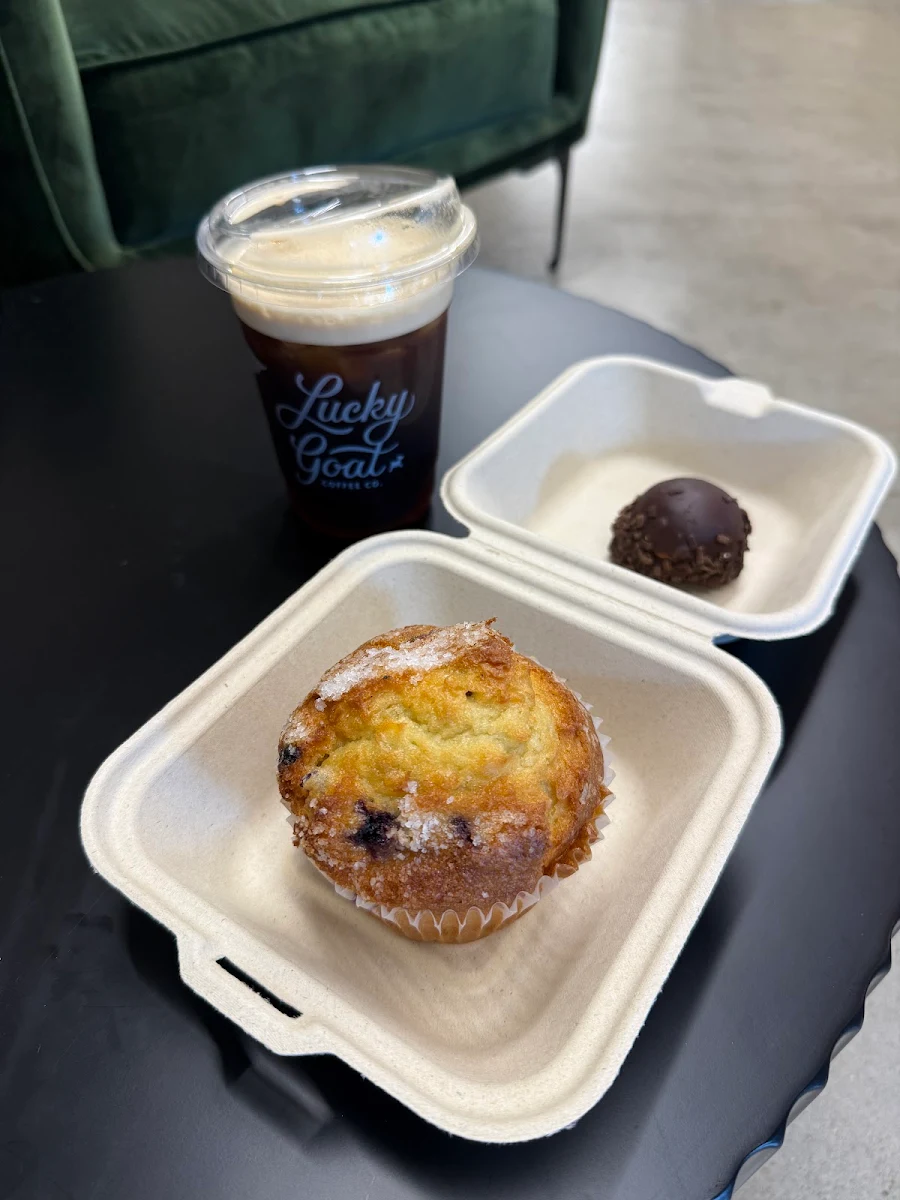 Blueberry Muffin