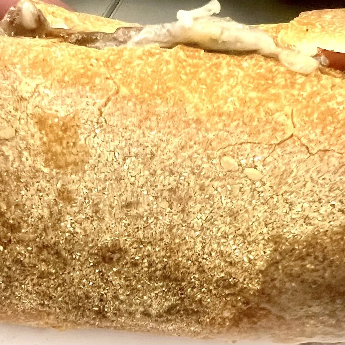 Cheesesteak Sandwich