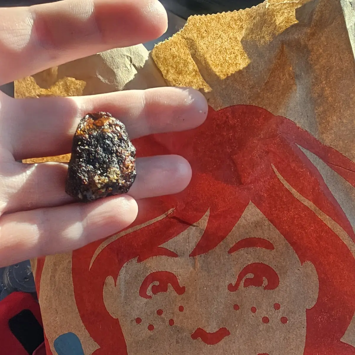 Kids Chicken Nuggets