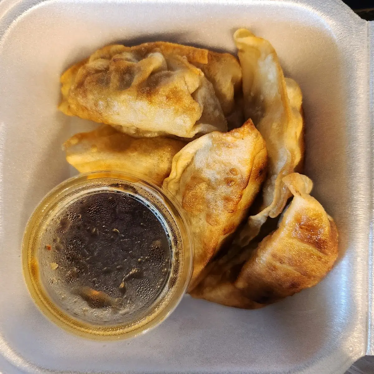 Pan Fried Dumpling