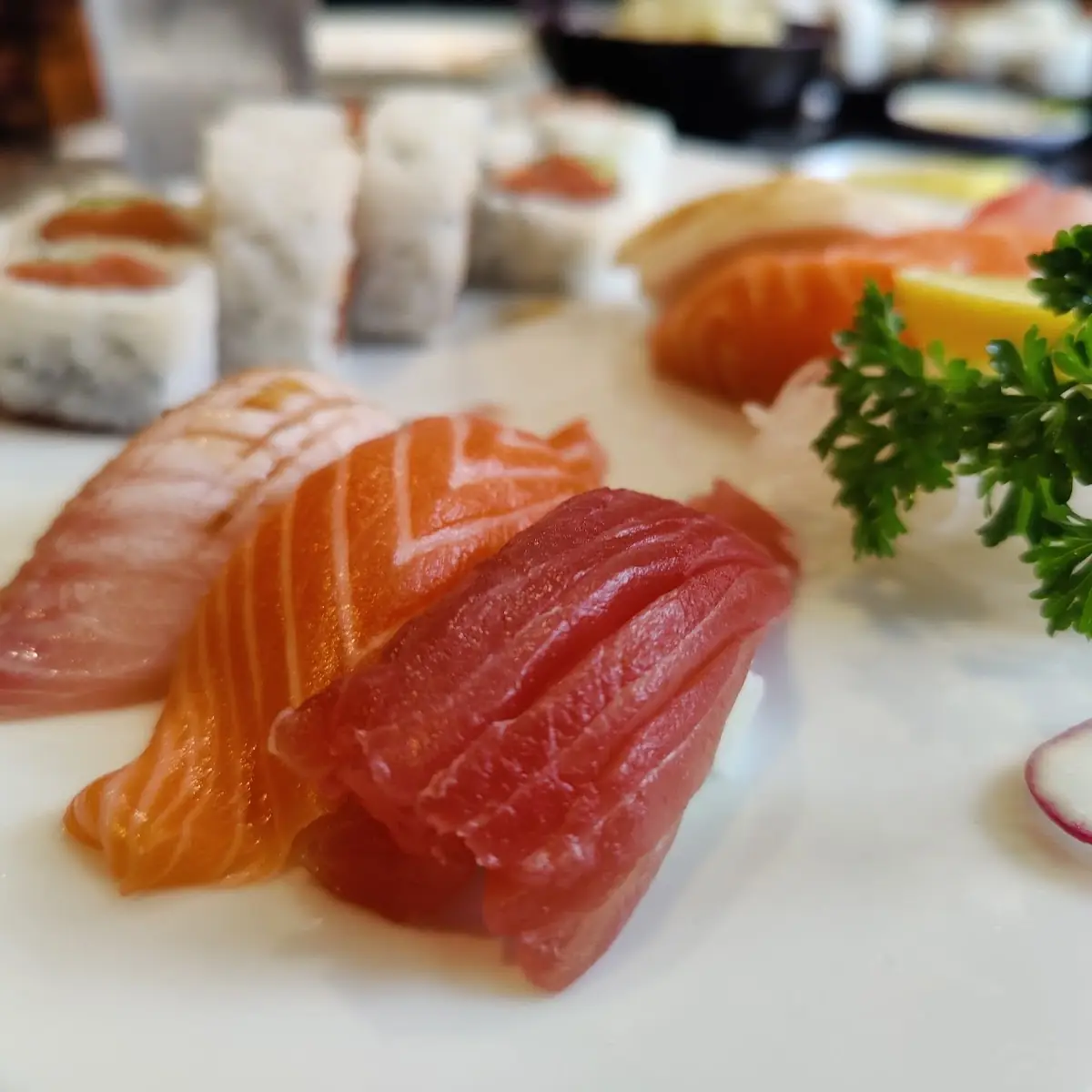 Lunch Sushi & Sashimi Combo