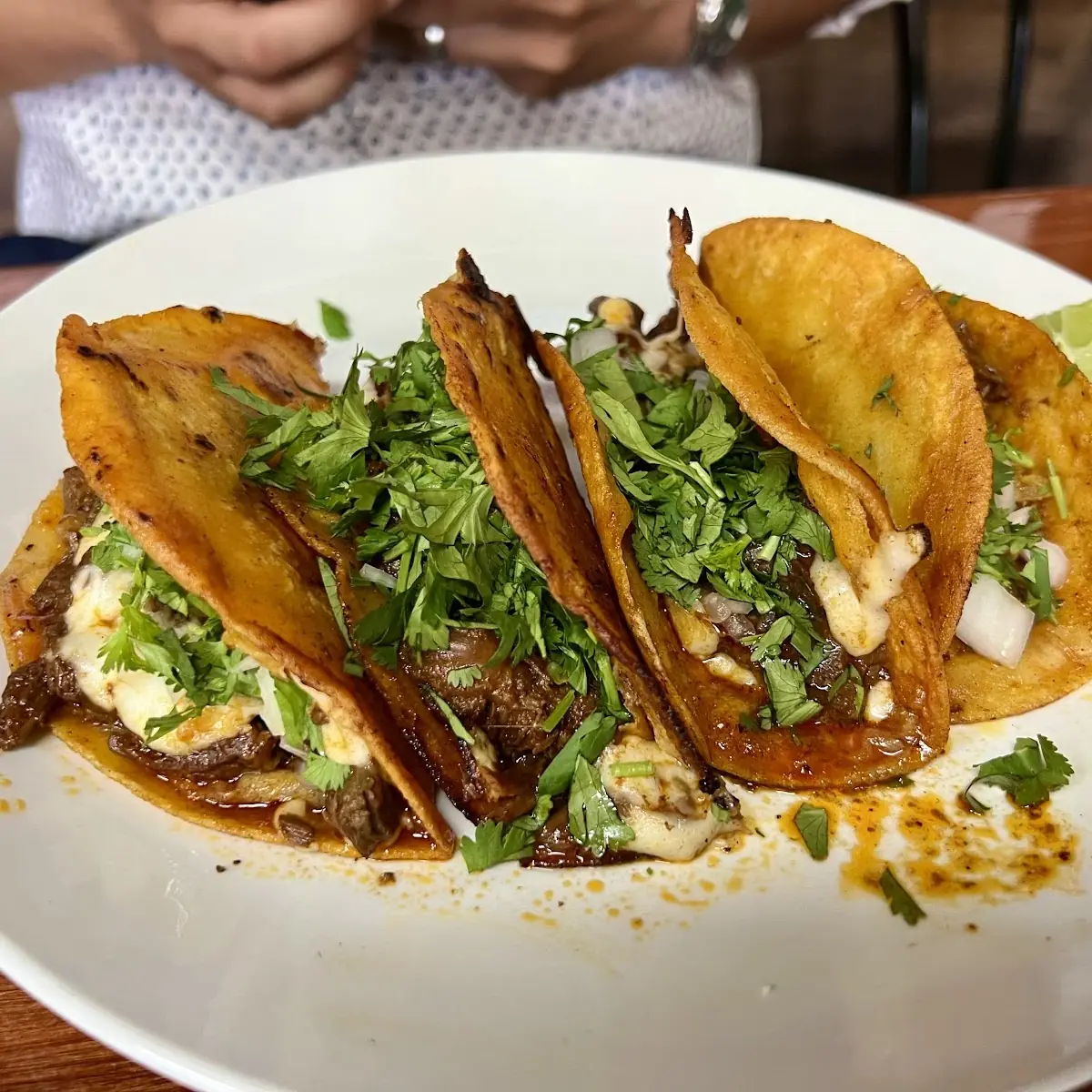 Queso Birria Tacos