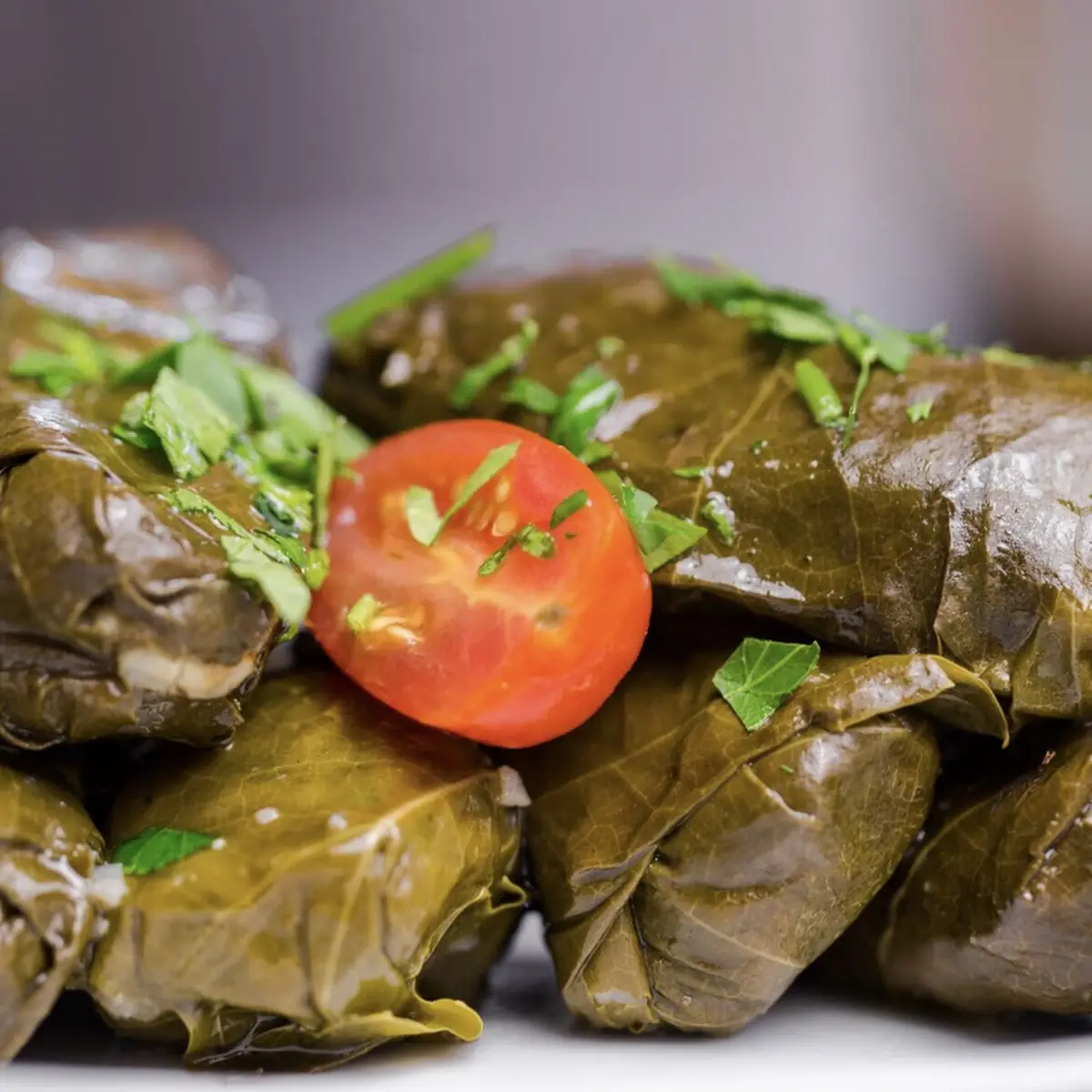 Grape Leaves Six Pieces