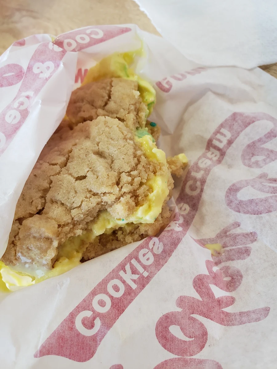 Ice Cream Cookie Sandwich
