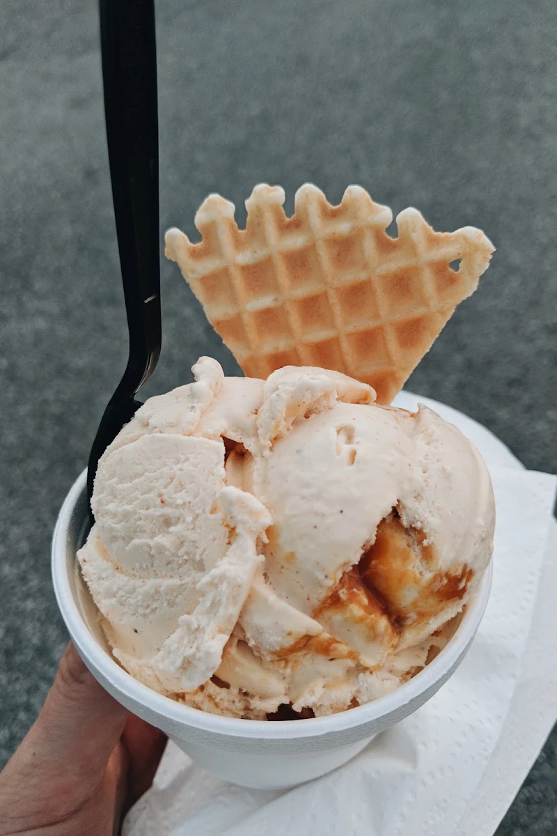 Gelato