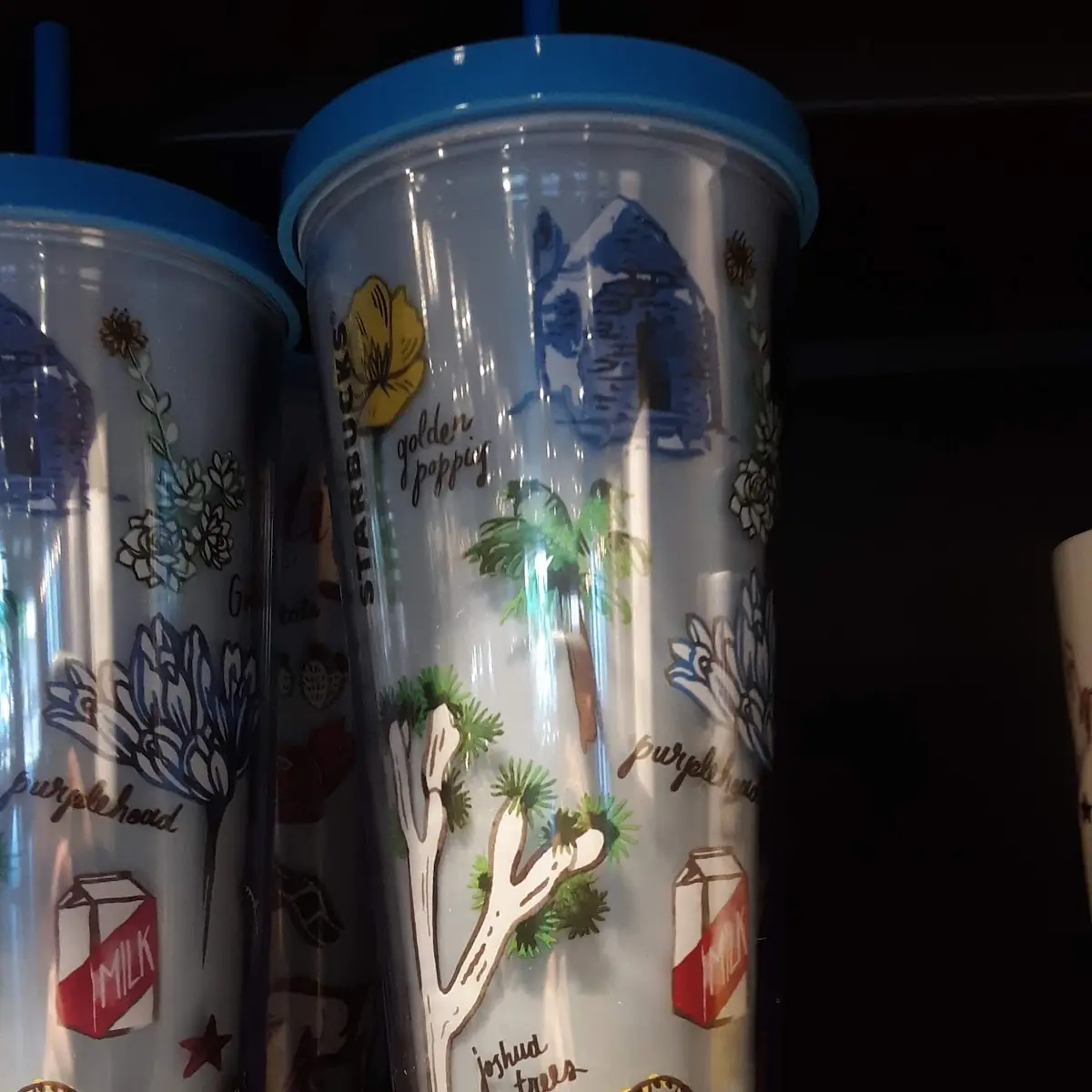 Water Bottle